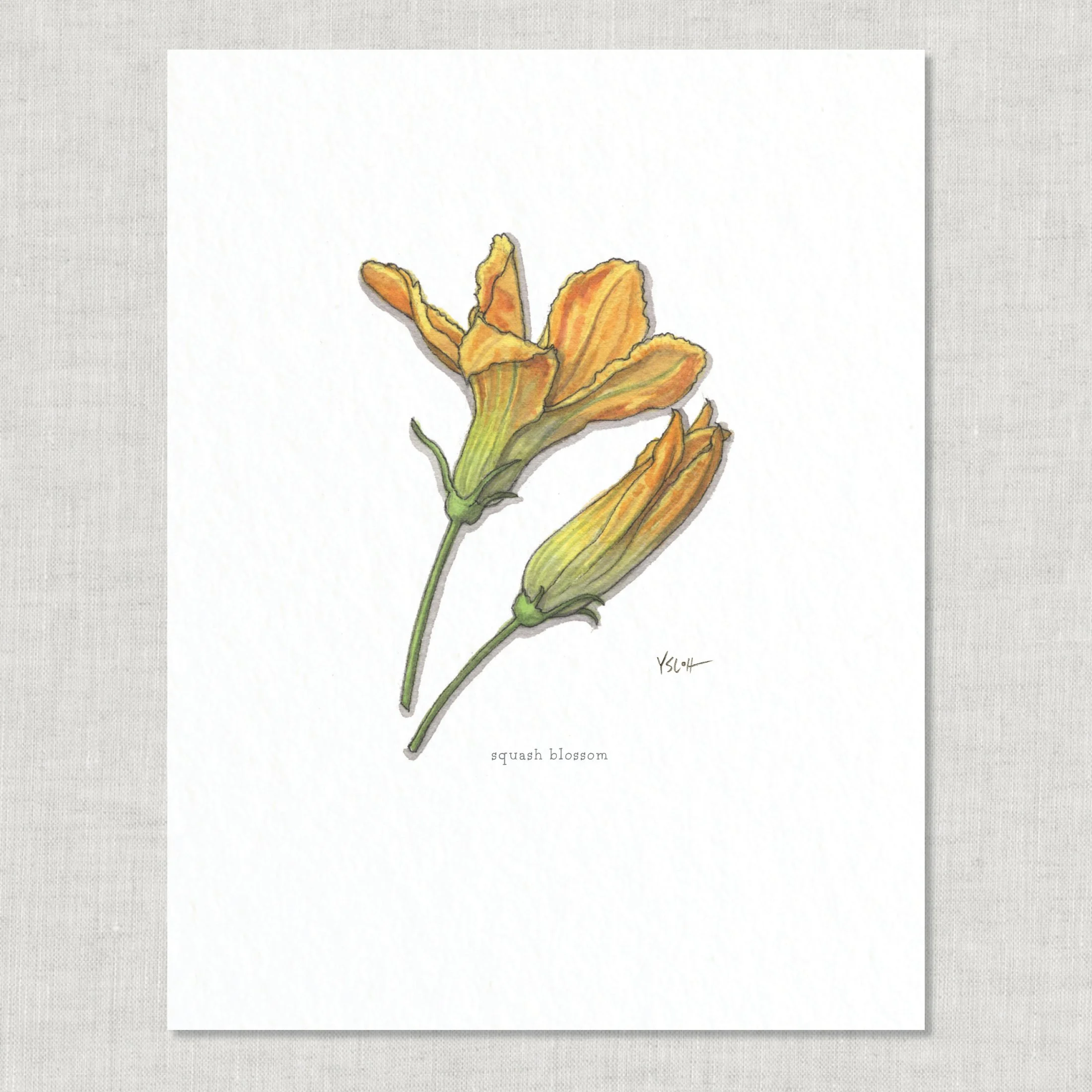 Shop_8.5x11_print_Edible Flowers25.jpg