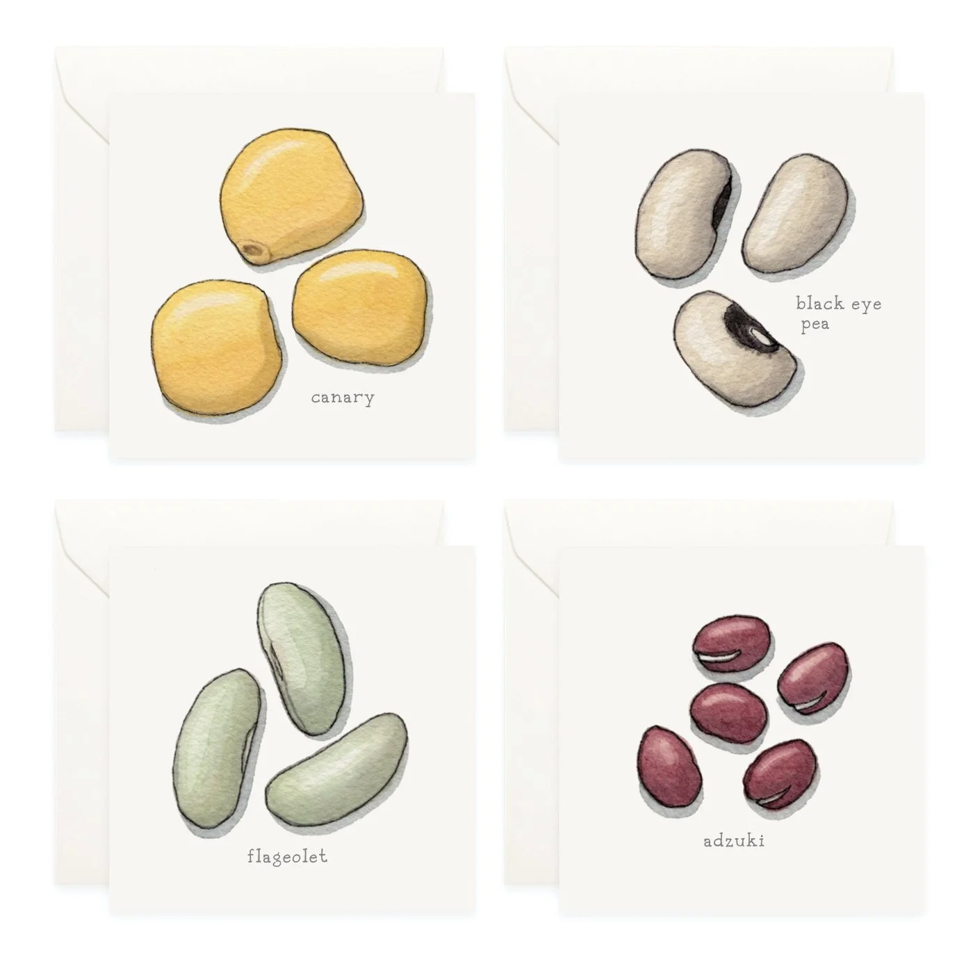 Shop_Mini Cards_Pulses_Beans3.jpg
