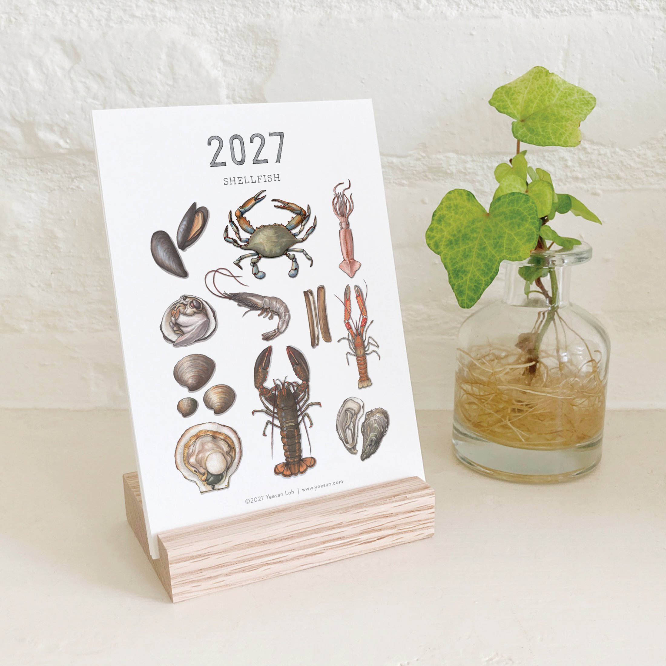 2027_shop_CAL_Shellfish10.jpg