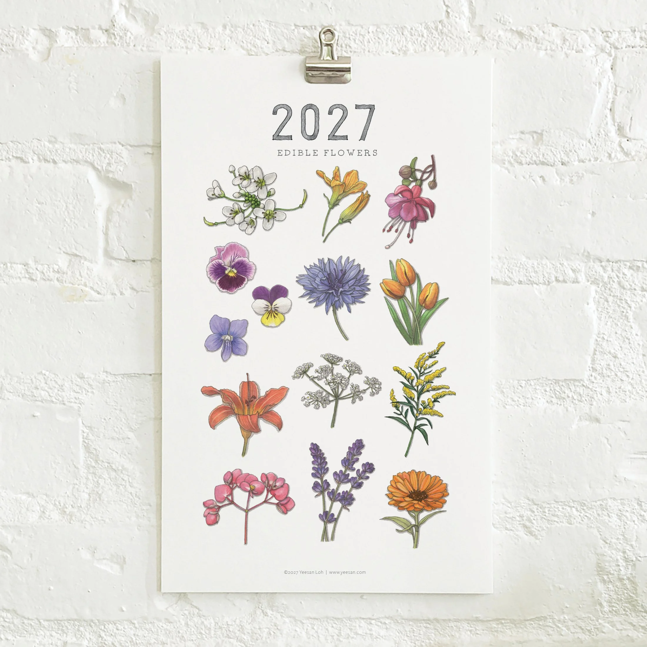 2027_shop_CAL_Flowers2.jpg