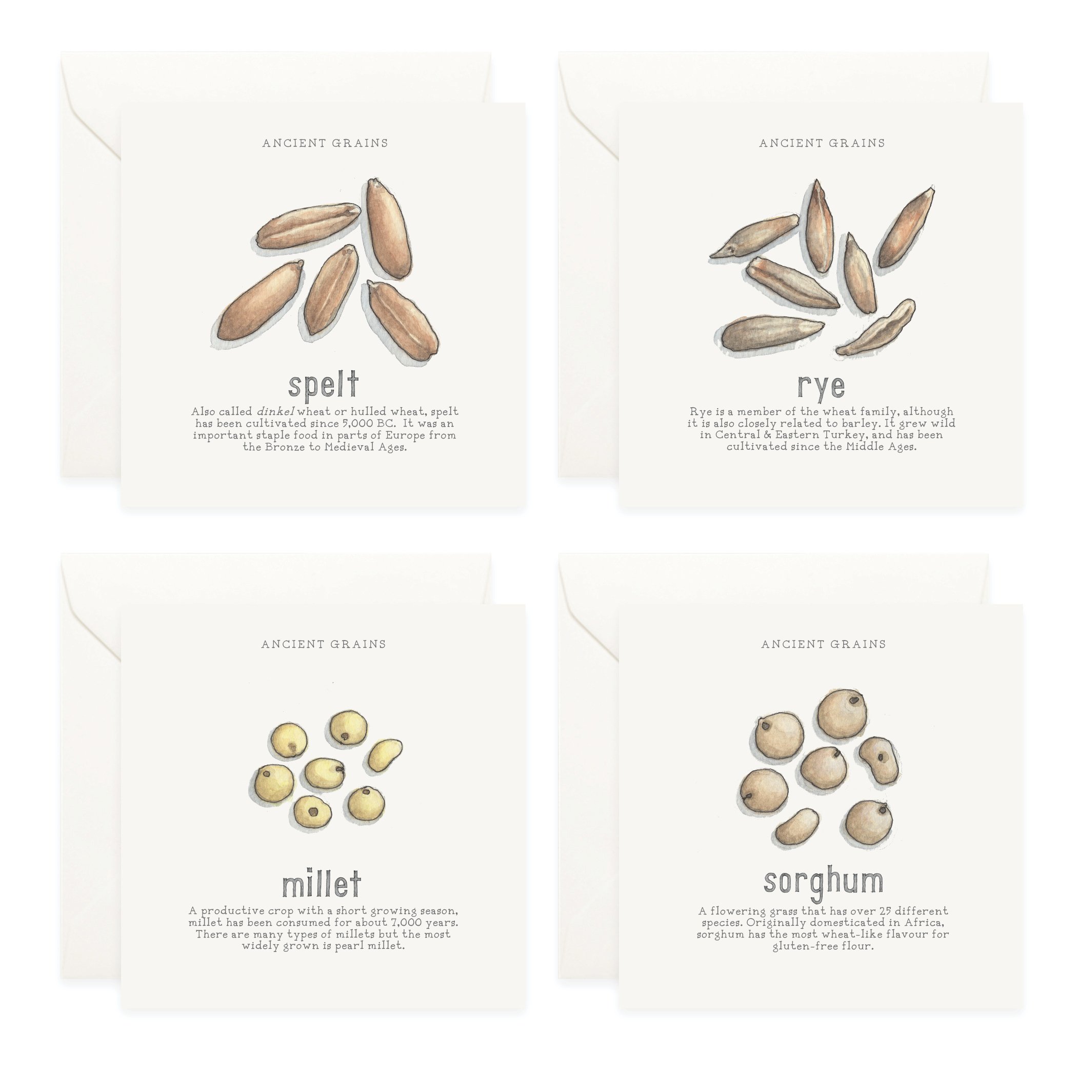 Shop_Box Set_Squash_Ancient Grains5.jpg