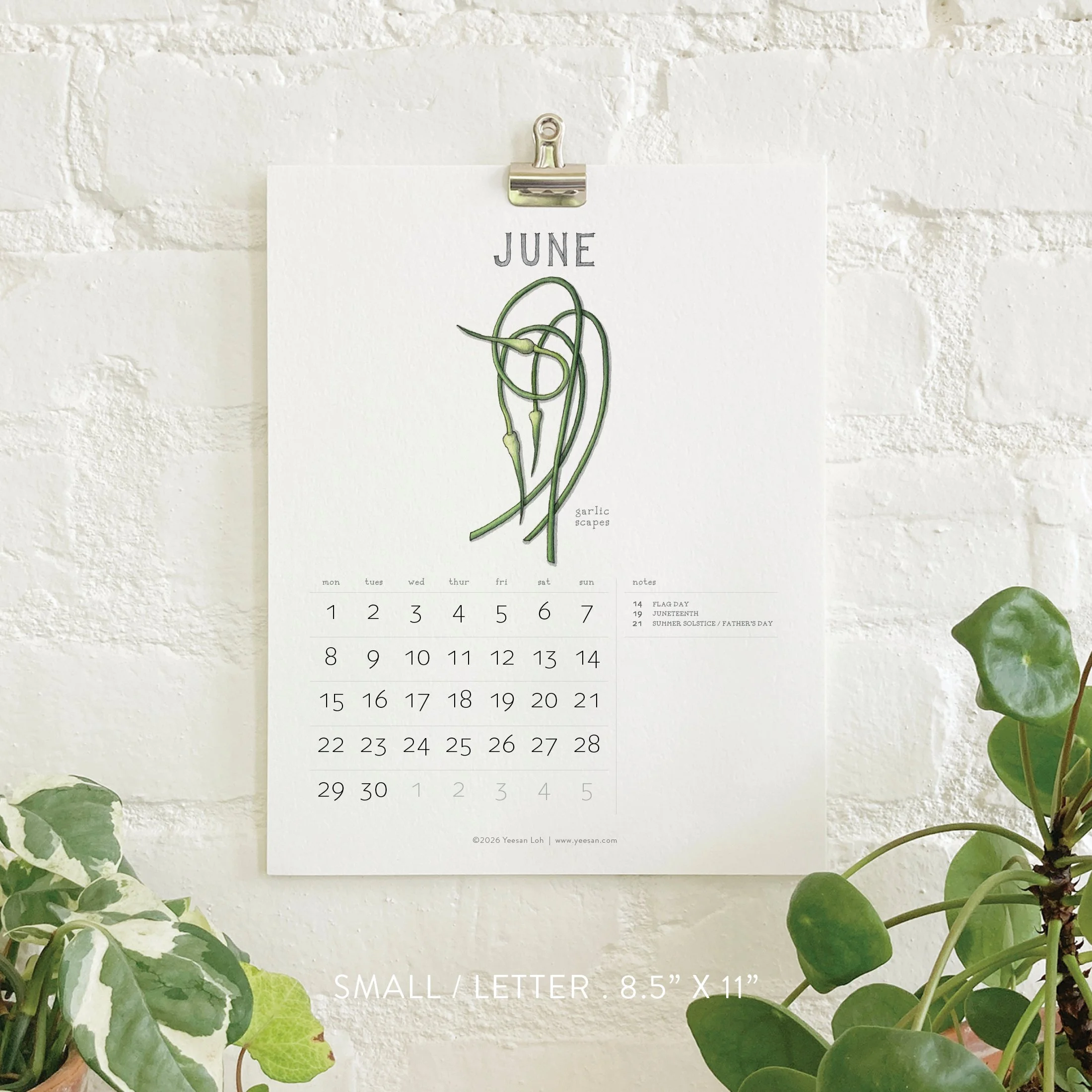 2026_shop_Calendars_Alliums7.jpg