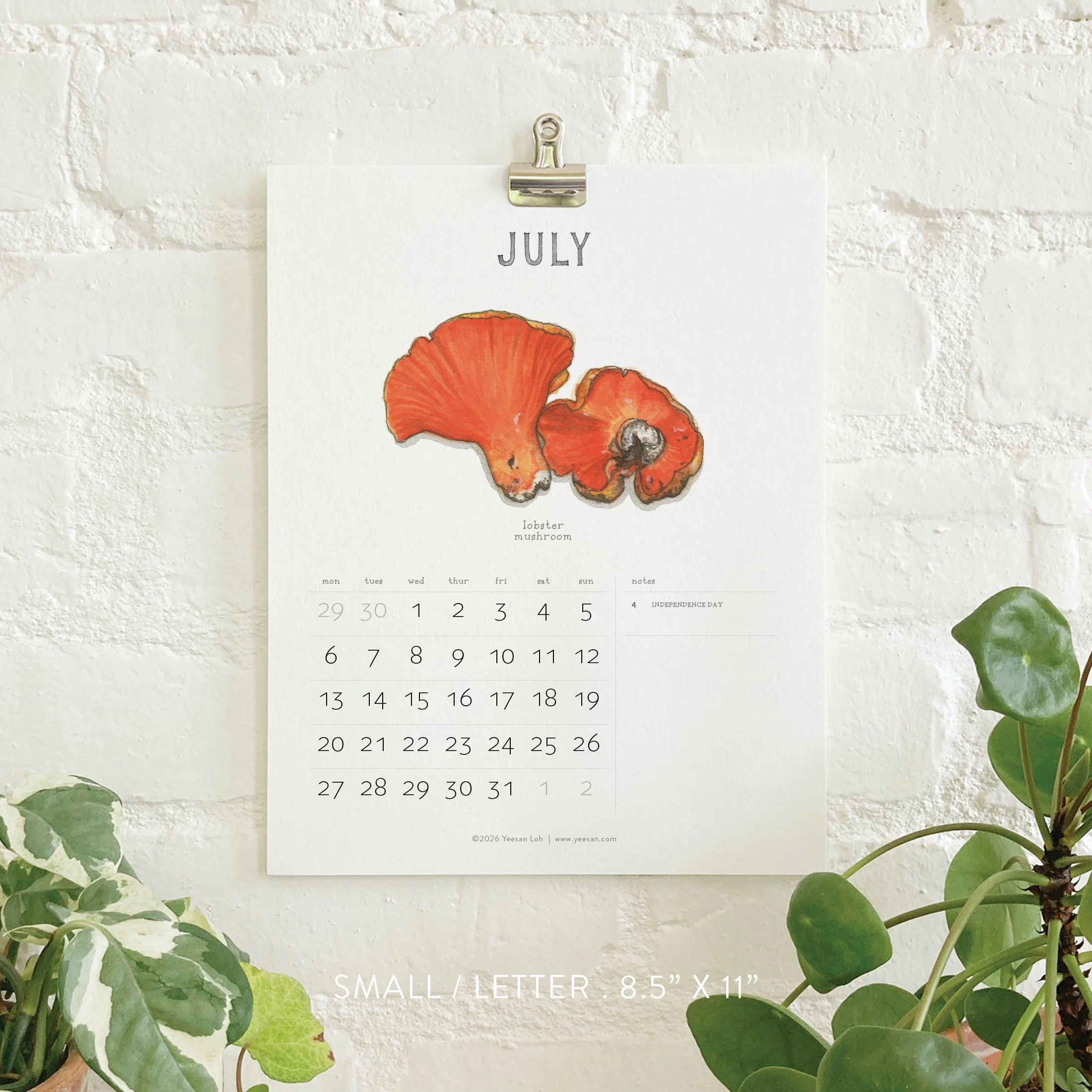 2026_shop_Calendars_Mushrooms8.jpg