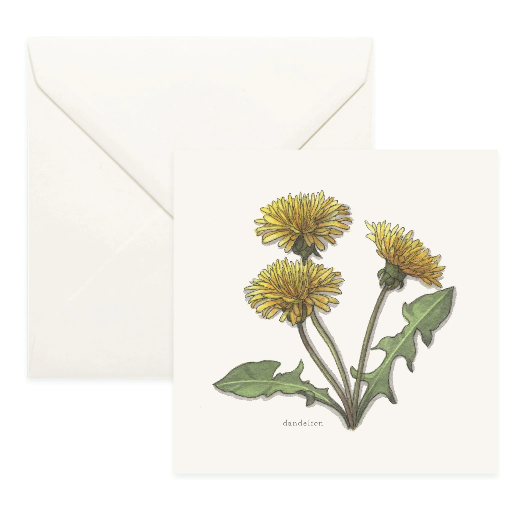 Shop_Cards_Flowers9.jpg
