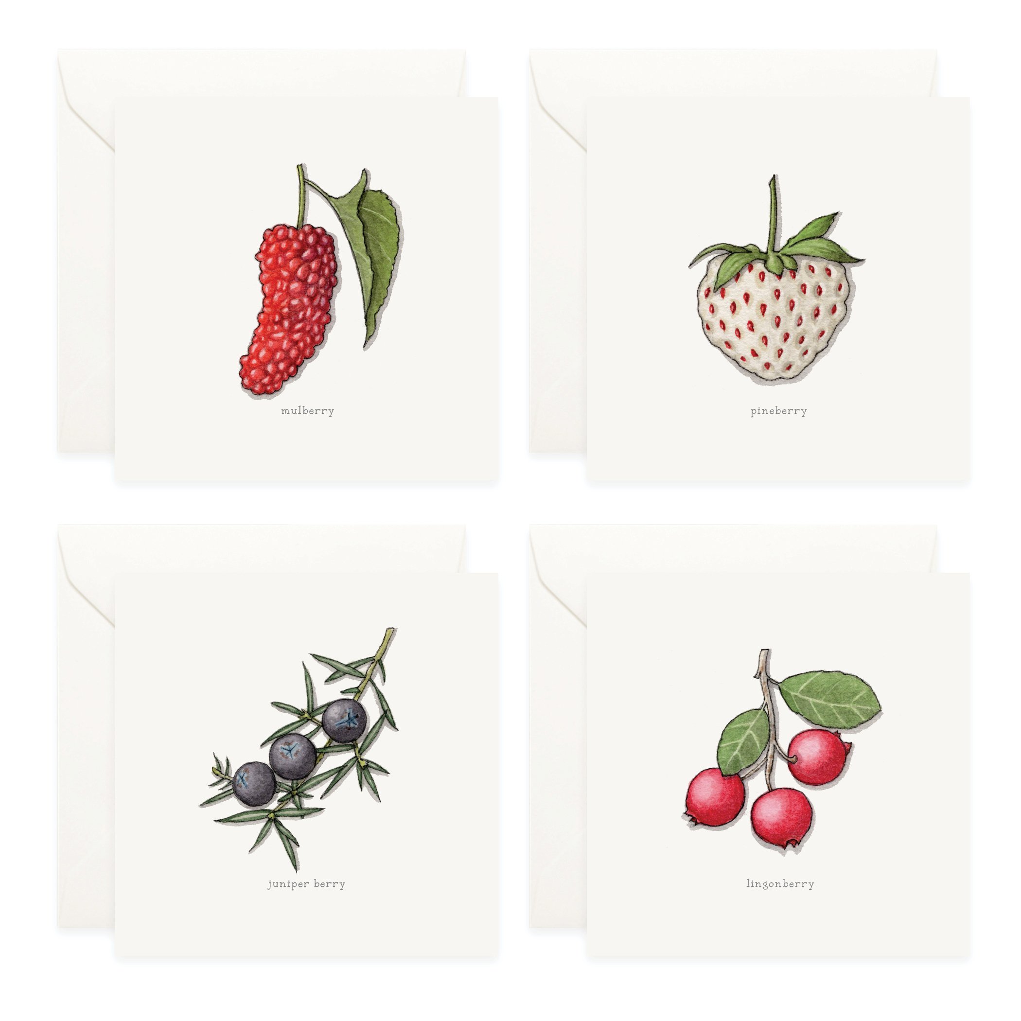 Shop_Box Set_Berries5.jpg
