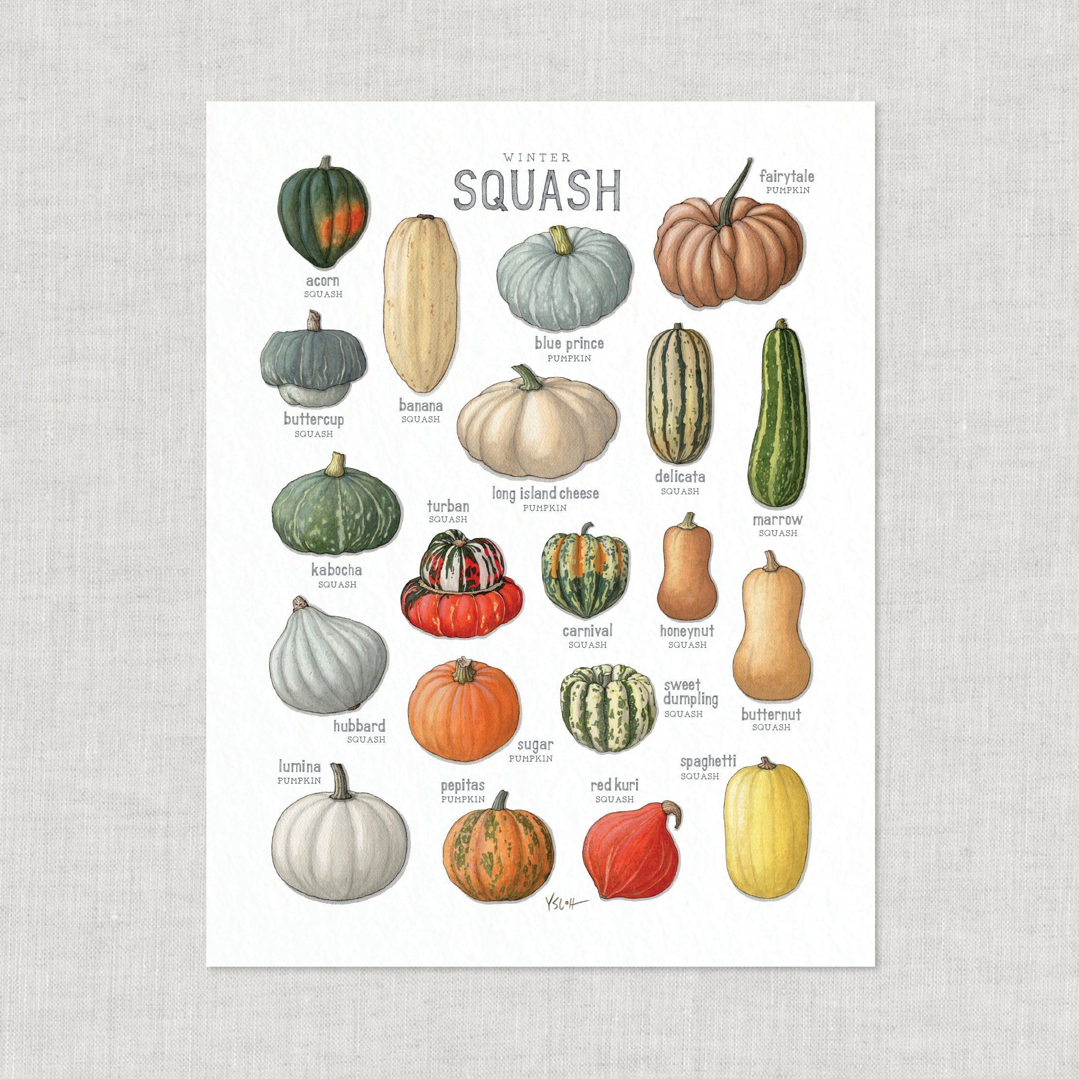Shop_Prints_8.5x11_Squash_Winter3.jpg