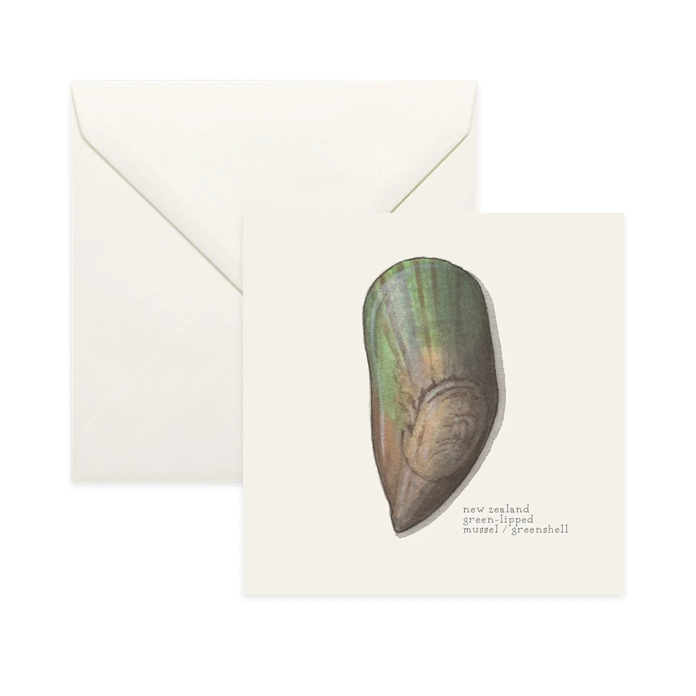 Shop_Card_Bivalves17.jpg