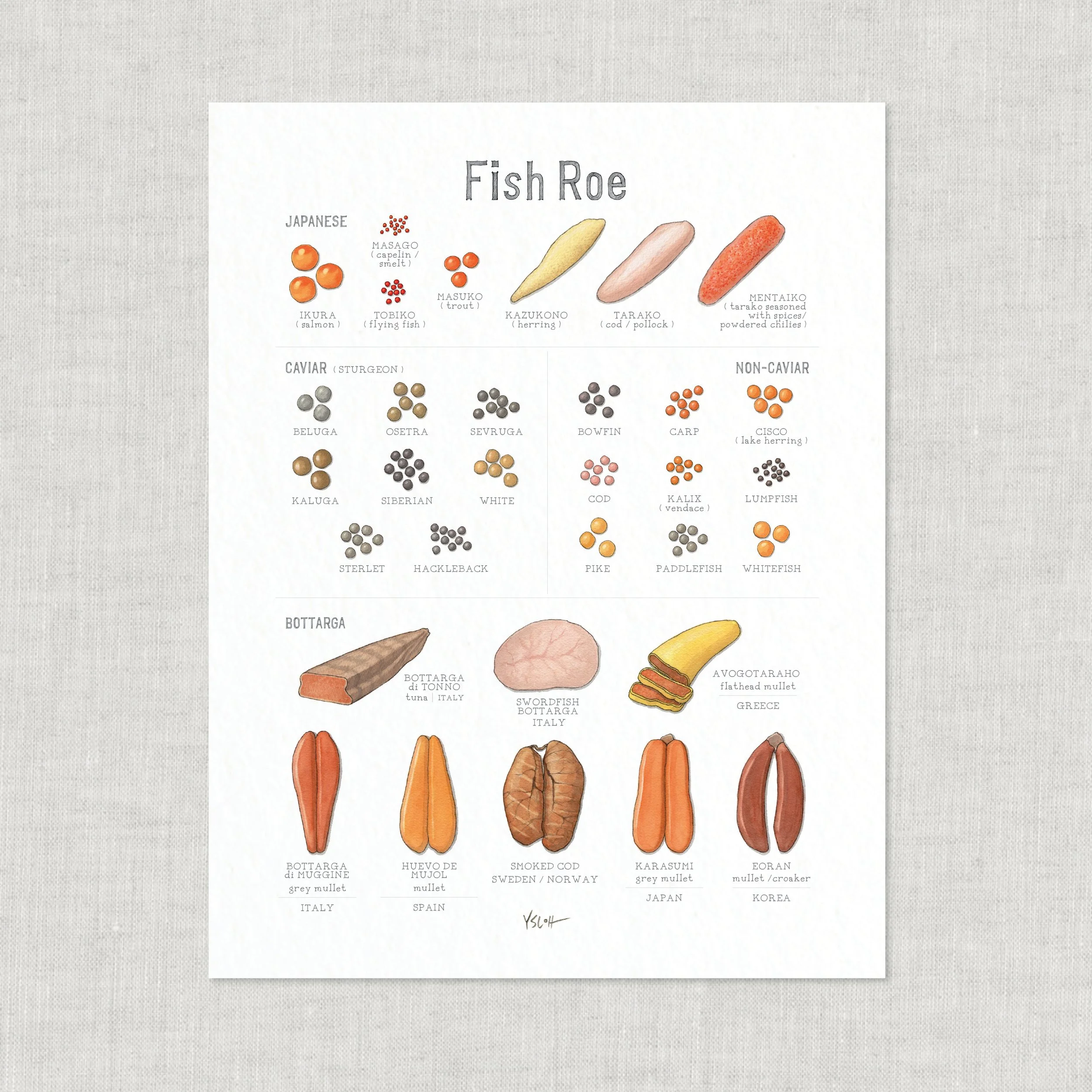 Shop_Prints_8.5x11_Fish Roe3.jpg