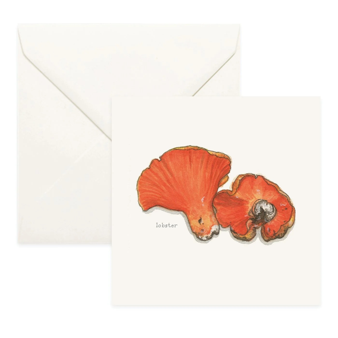 Shop_Cards_Mushrooms13.jpg