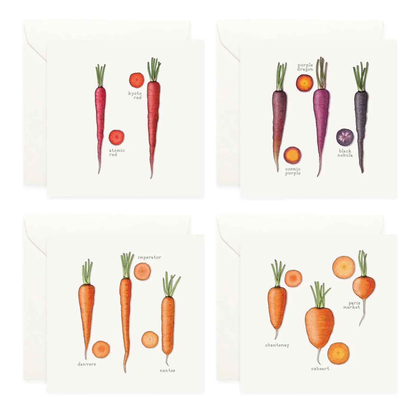 Shop_Box Set_Carrots4.jpg