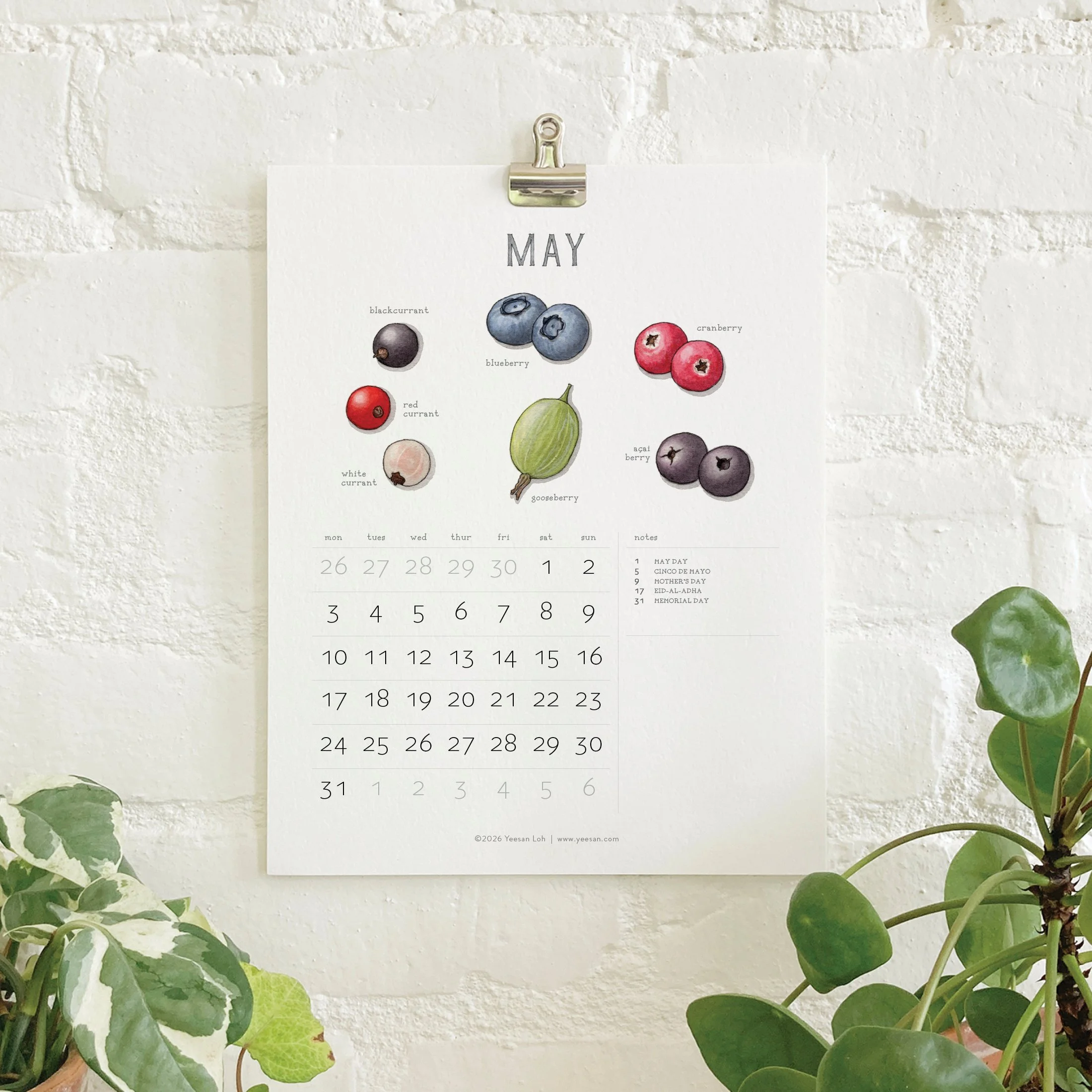 2027_shop_CAL_Berries7.jpg