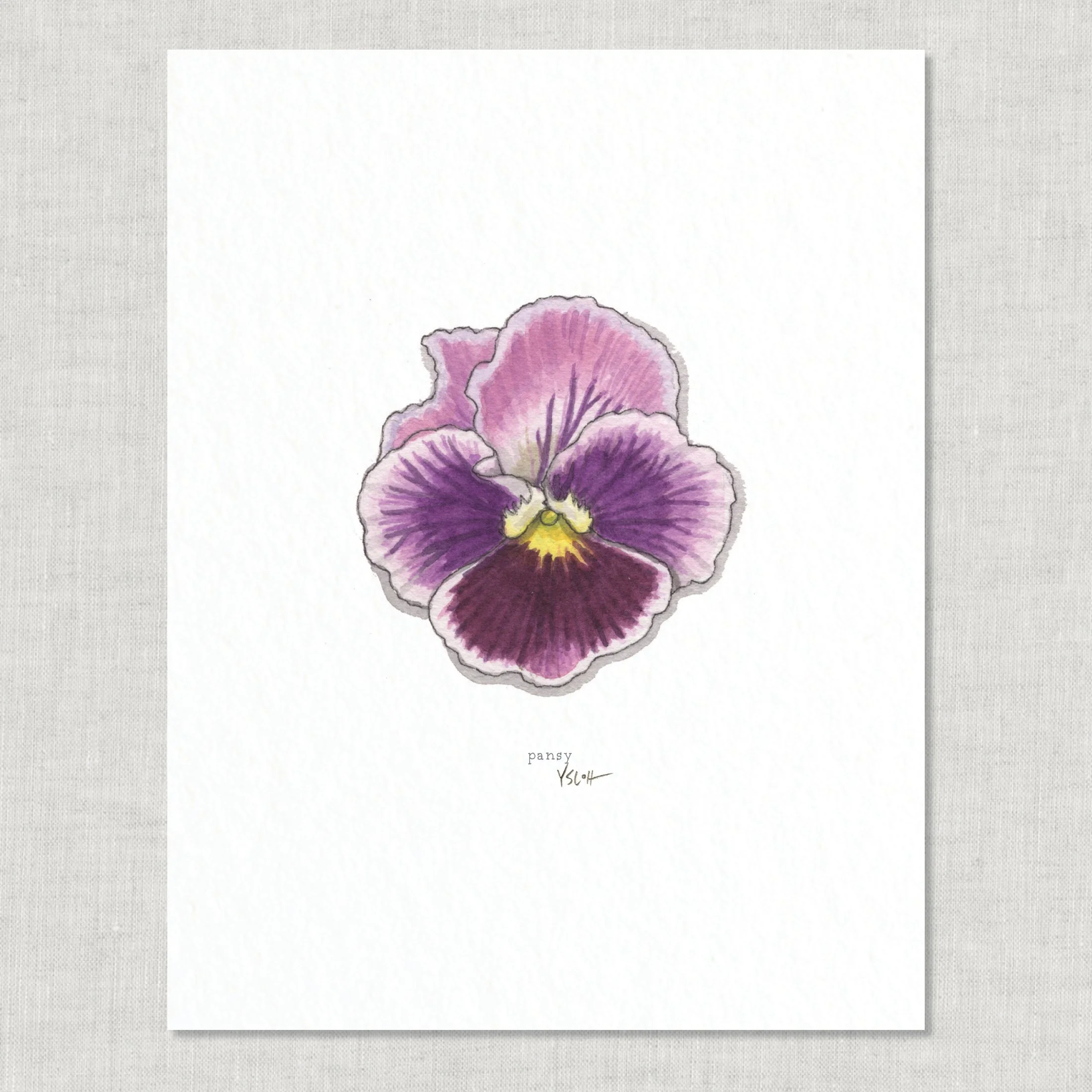 Shop_8.5x11_print_Edible Flowers21.jpg