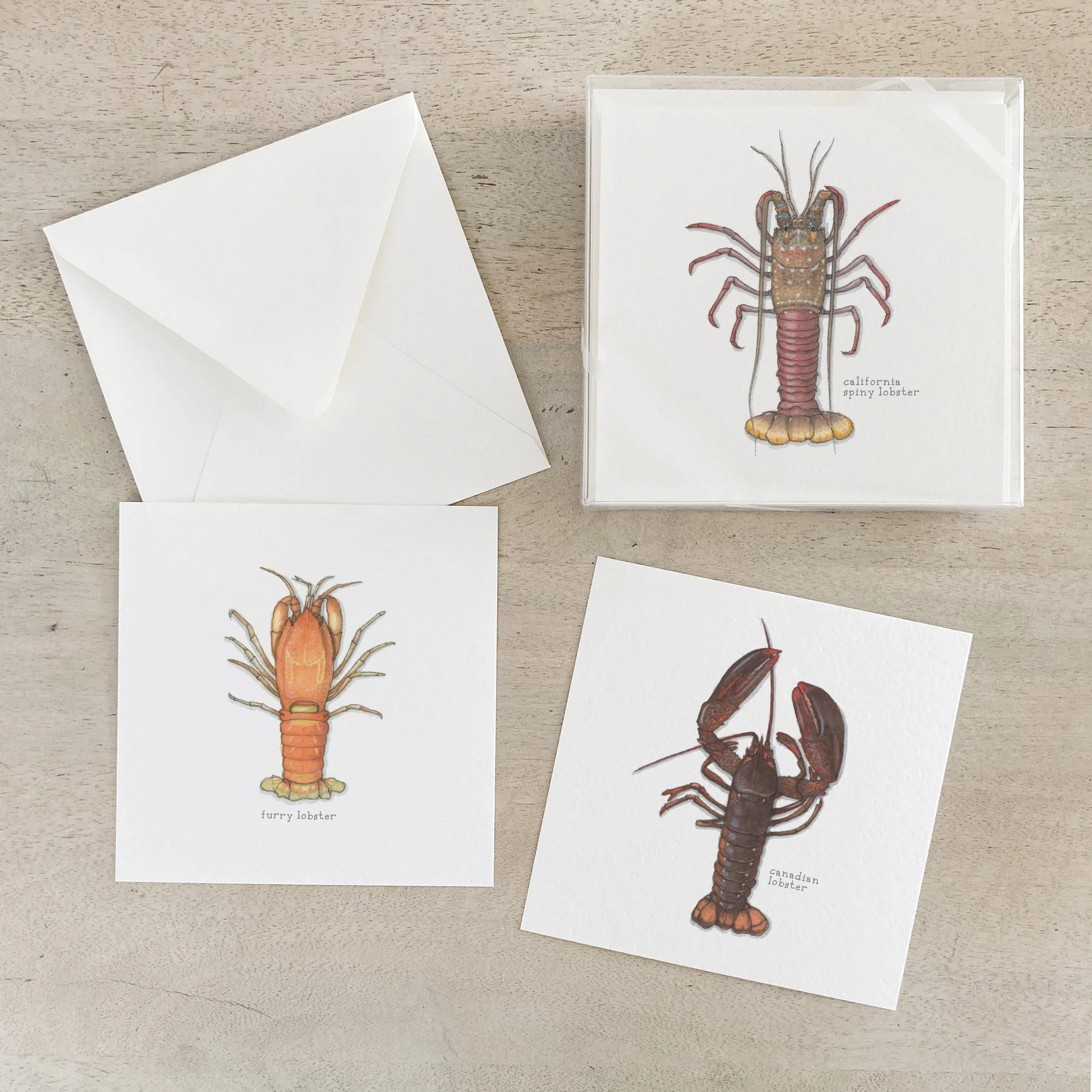 Lobsters | Box Set Cards