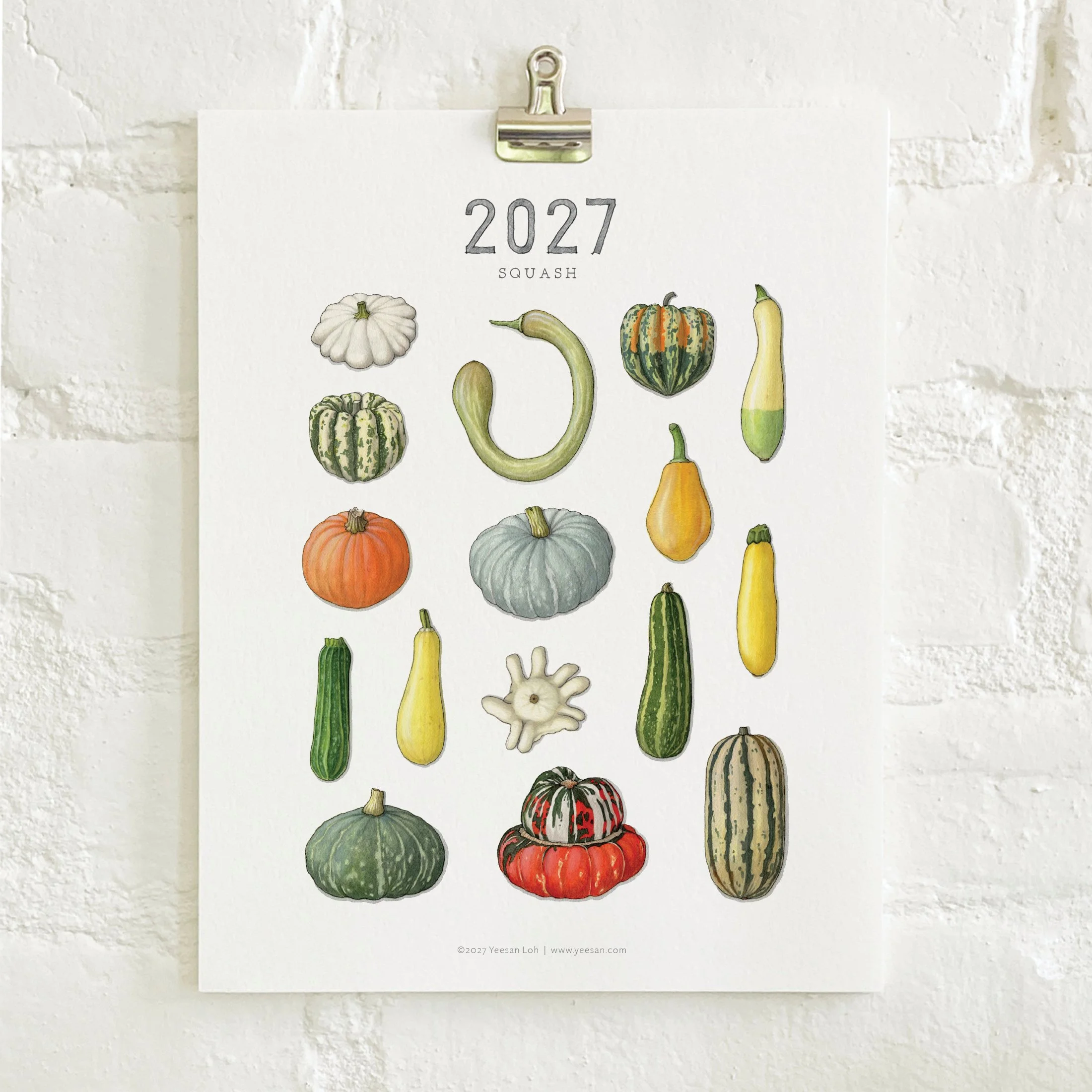 2027_shop_CAL_Squash6.jpg