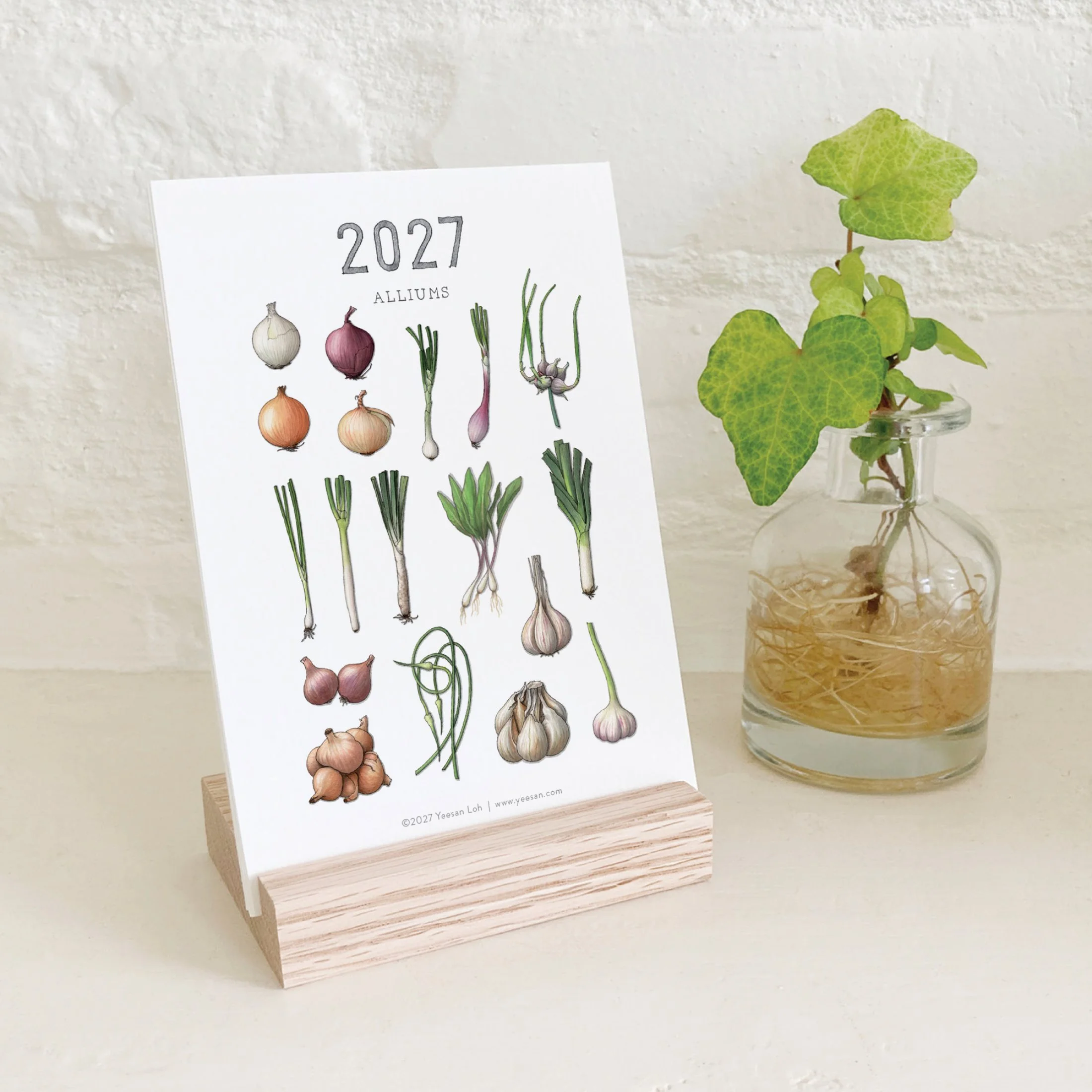 2027_shop_CAL_Alliums10.jpg