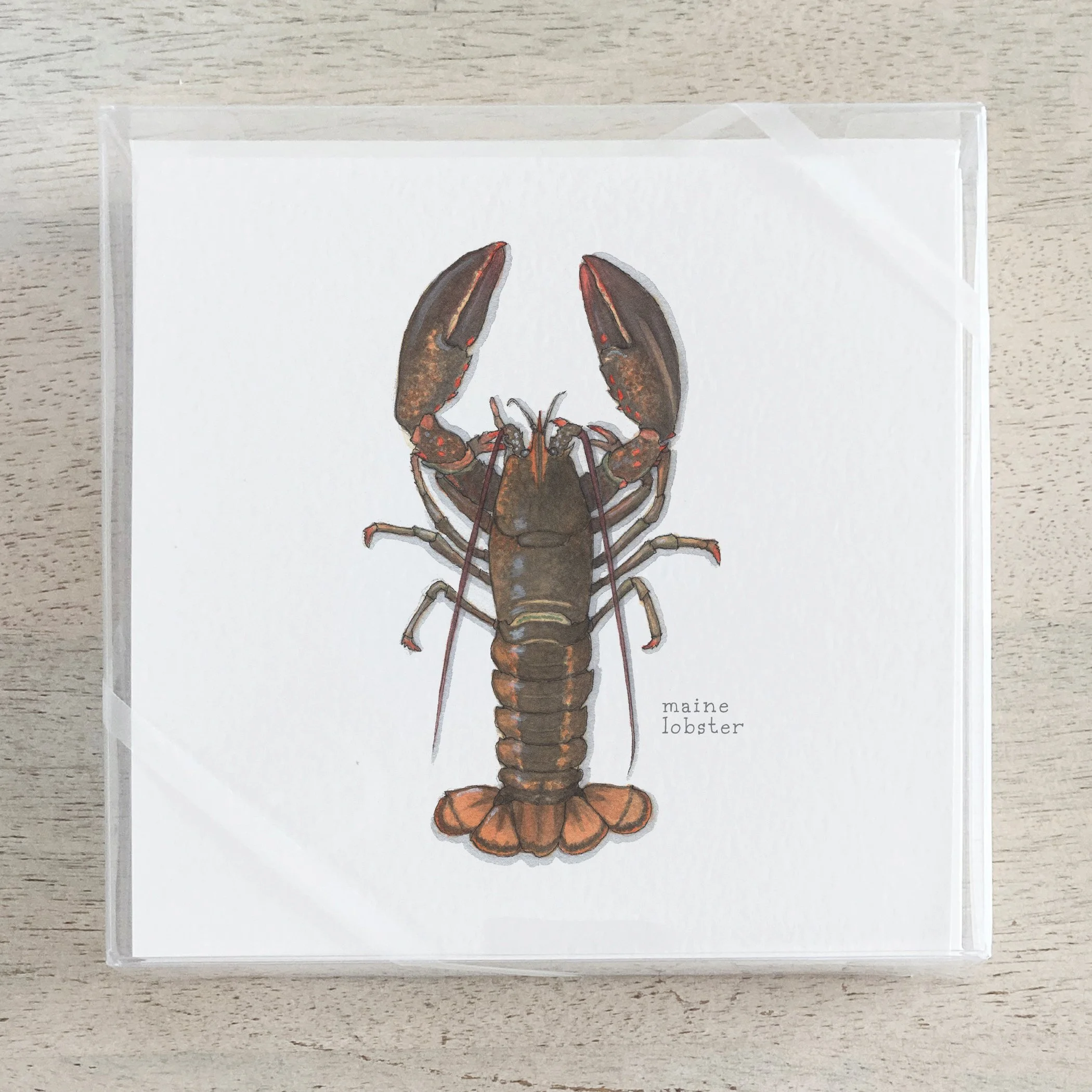 Shop_Box Set_Lobsters.jpg