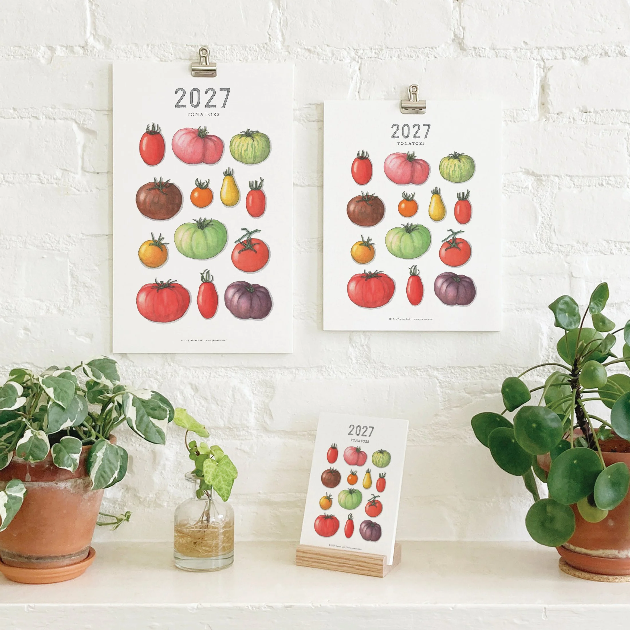 2027_shop_CAL_Tomatoes.jpg