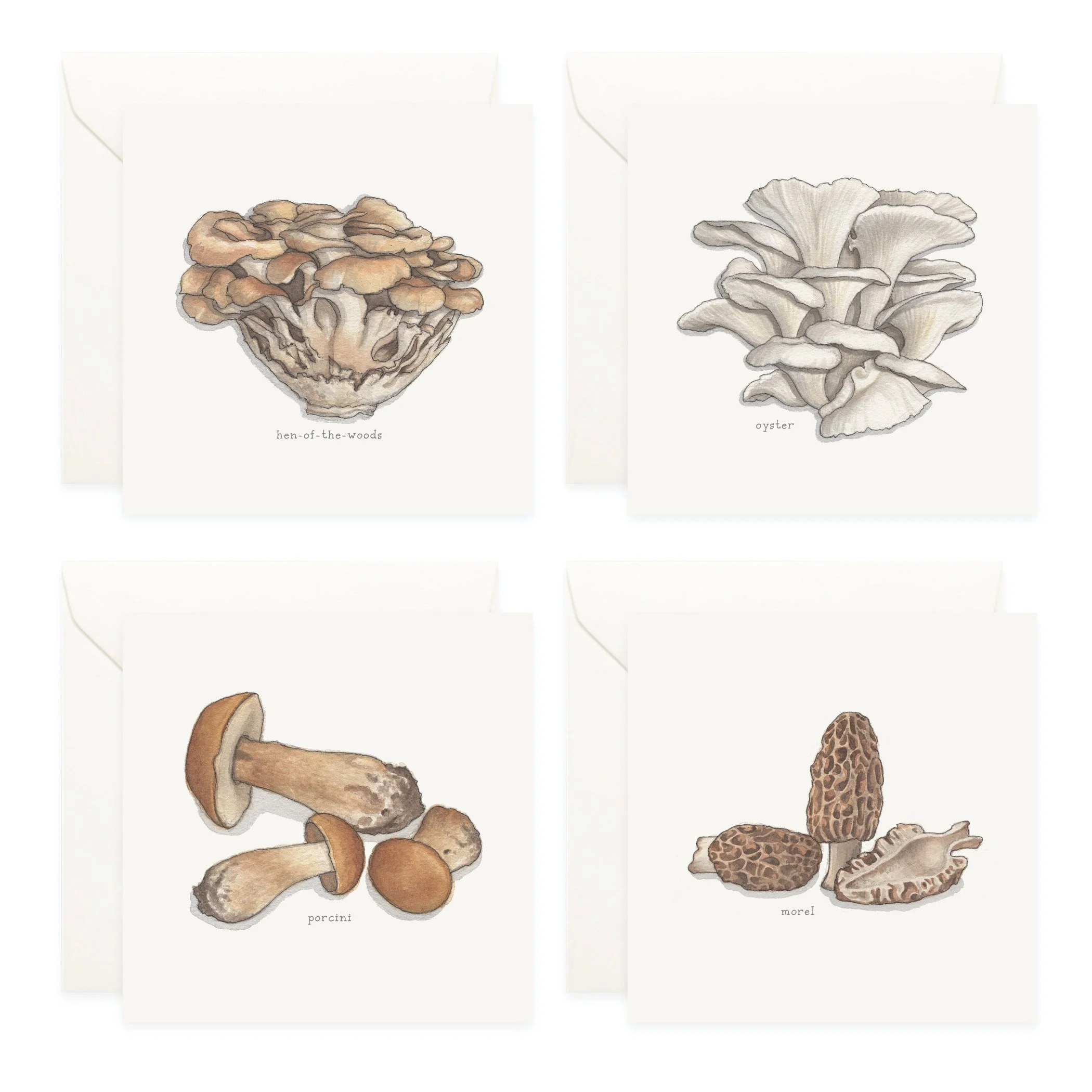 Shop_Box Set_Mushrooms4.jpg