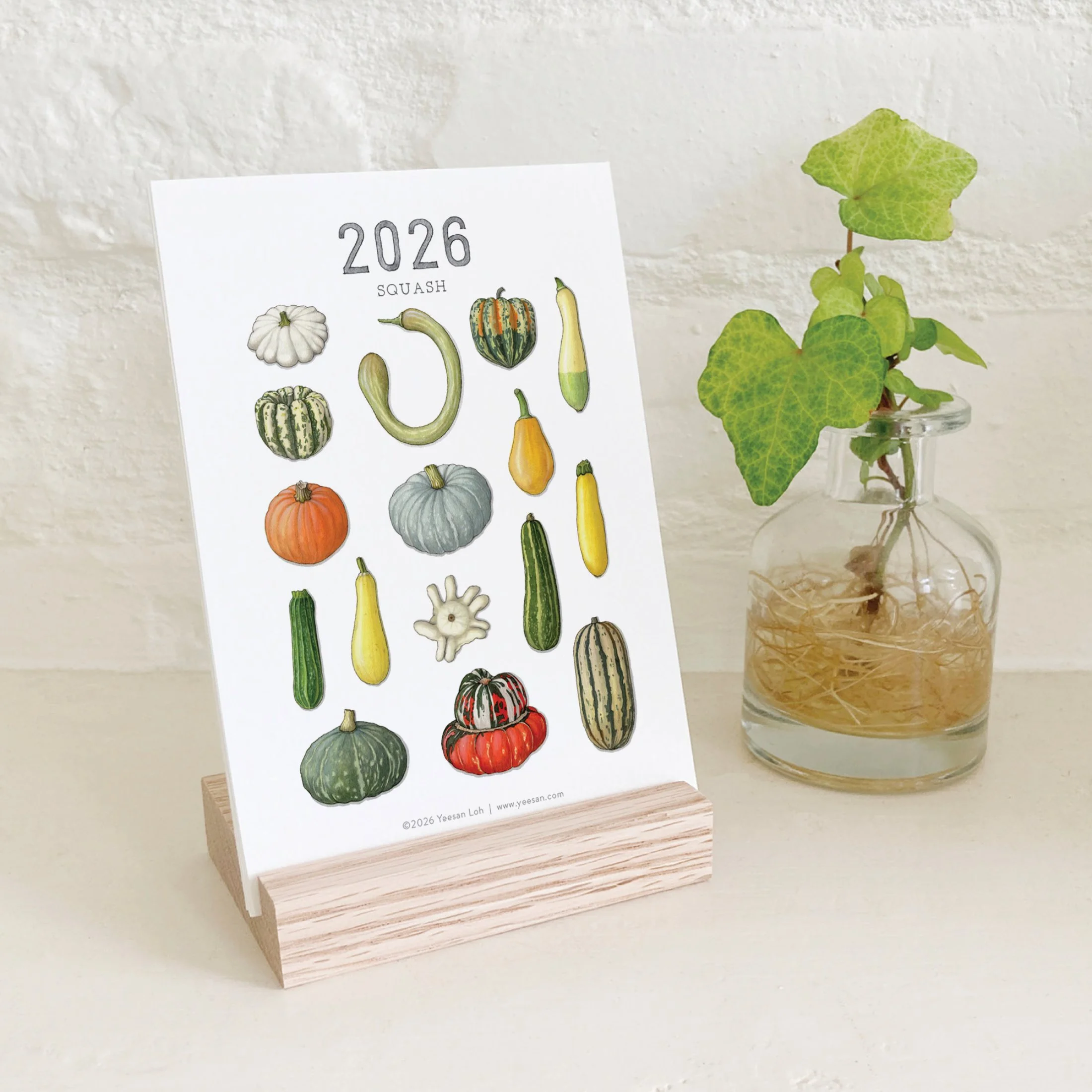 2026_shop_Calendars_Squash10.jpg