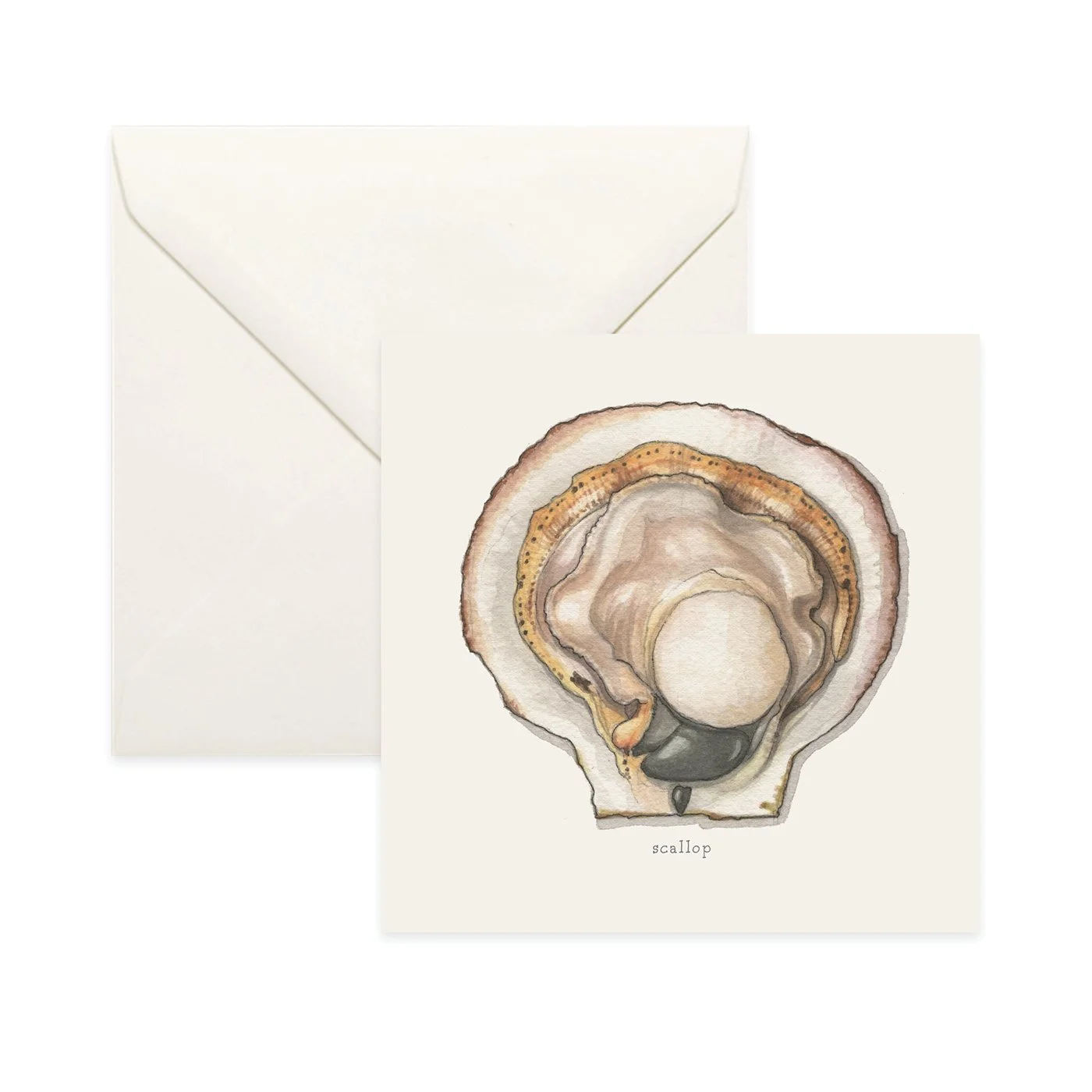 Shop_Card_Bivalves20.jpg
