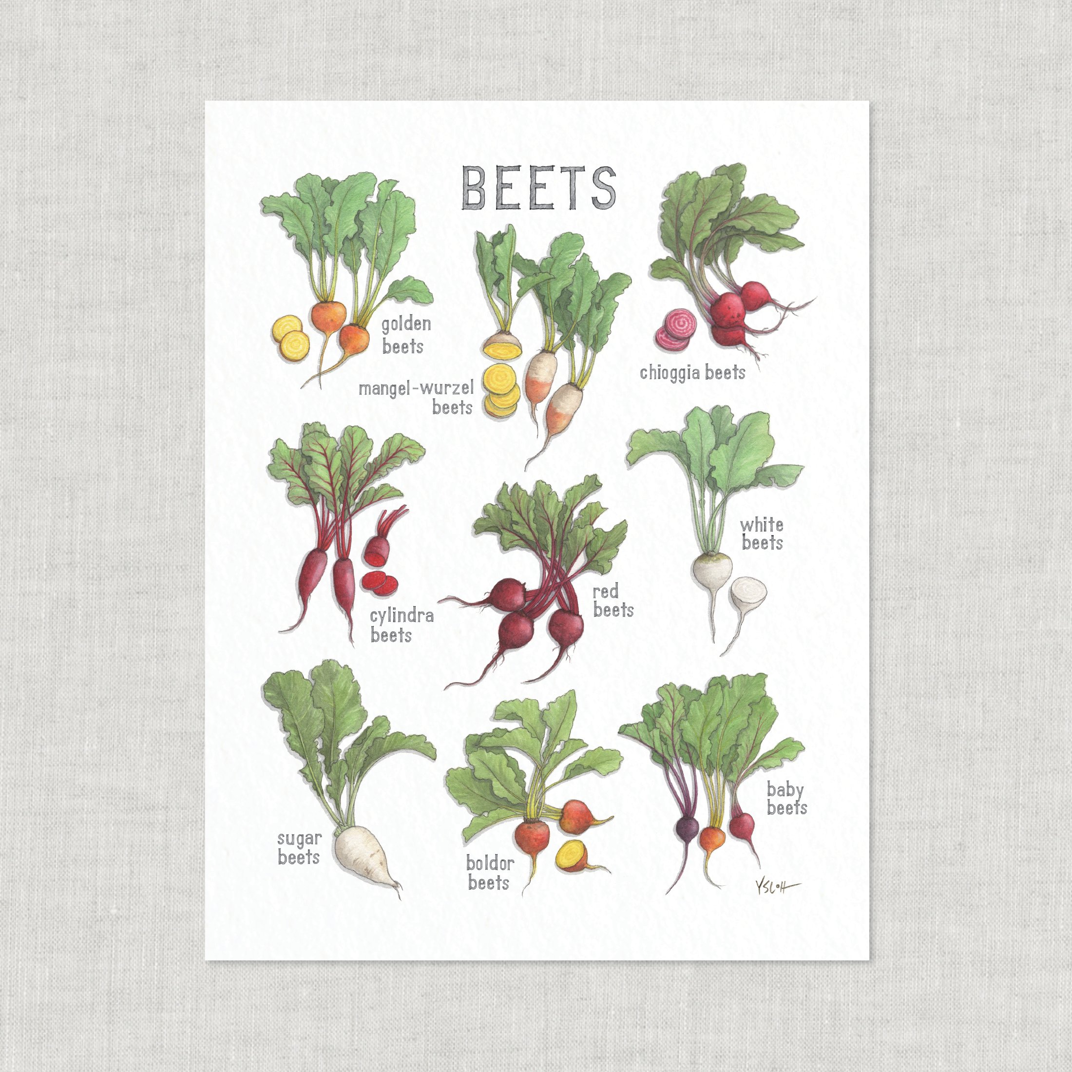 Shop_Prints_8.5x11_Beets3.jpg