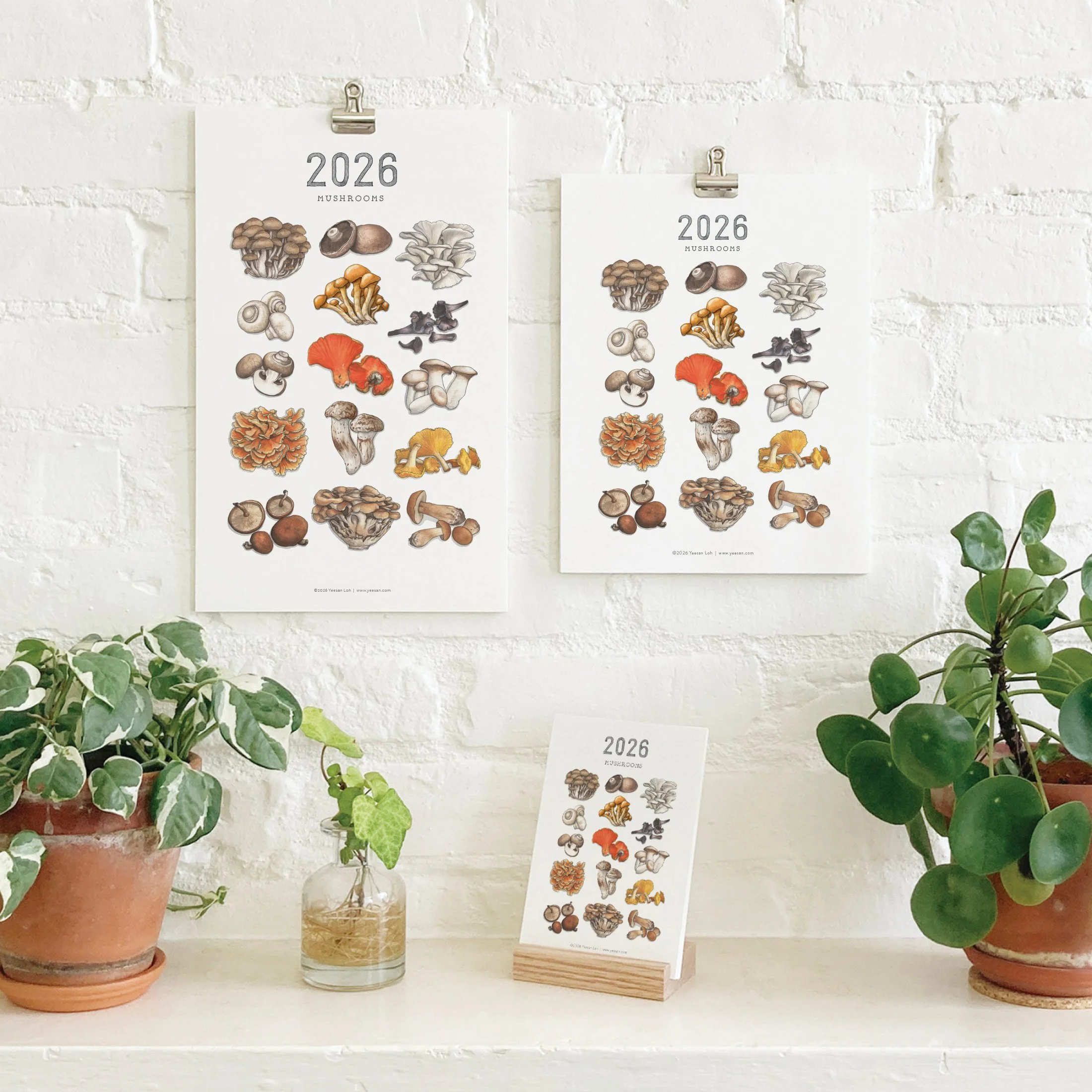 2026_shop_Calendars_Mushrooms.jpg