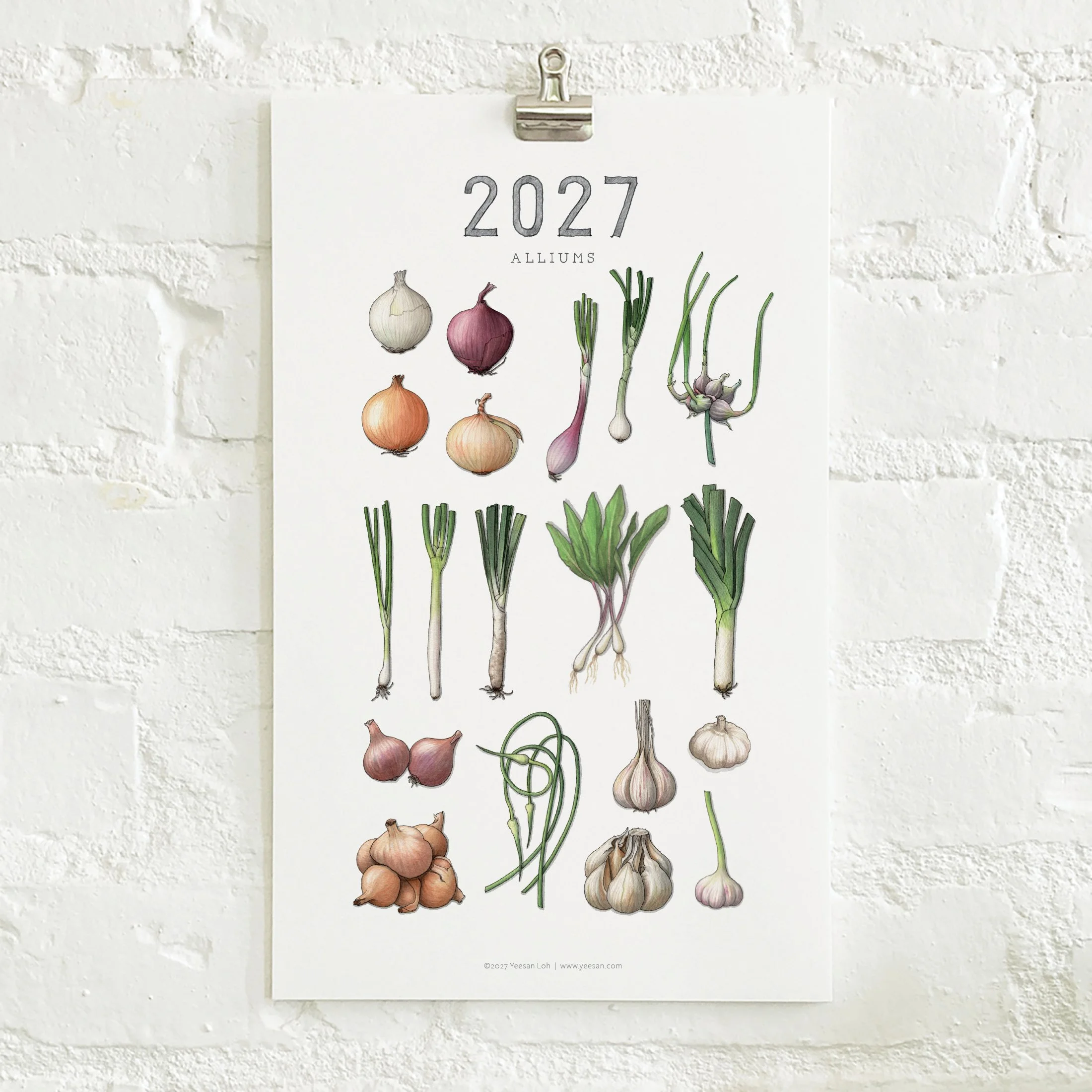 2027_shop_CAL_Alliums2.jpg