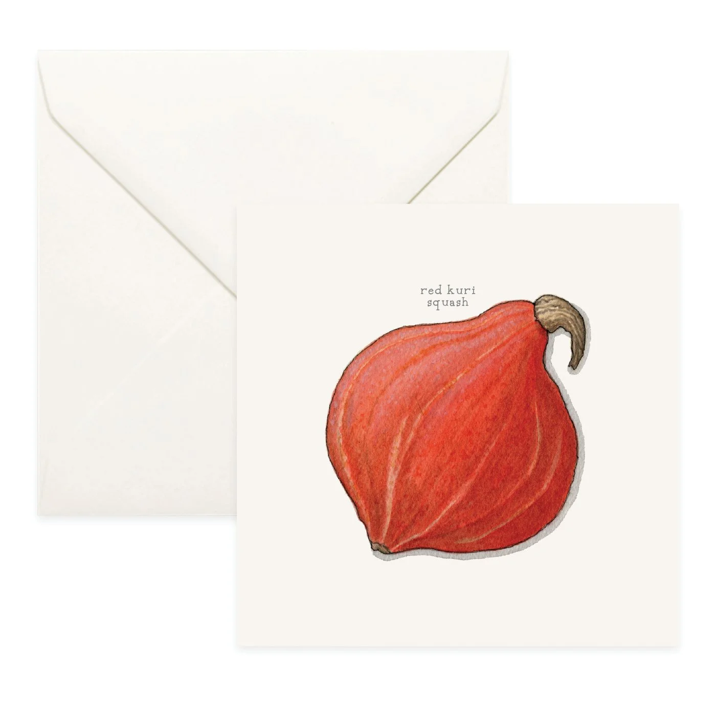 Shop_Cards_Squash_Winter14.jpg