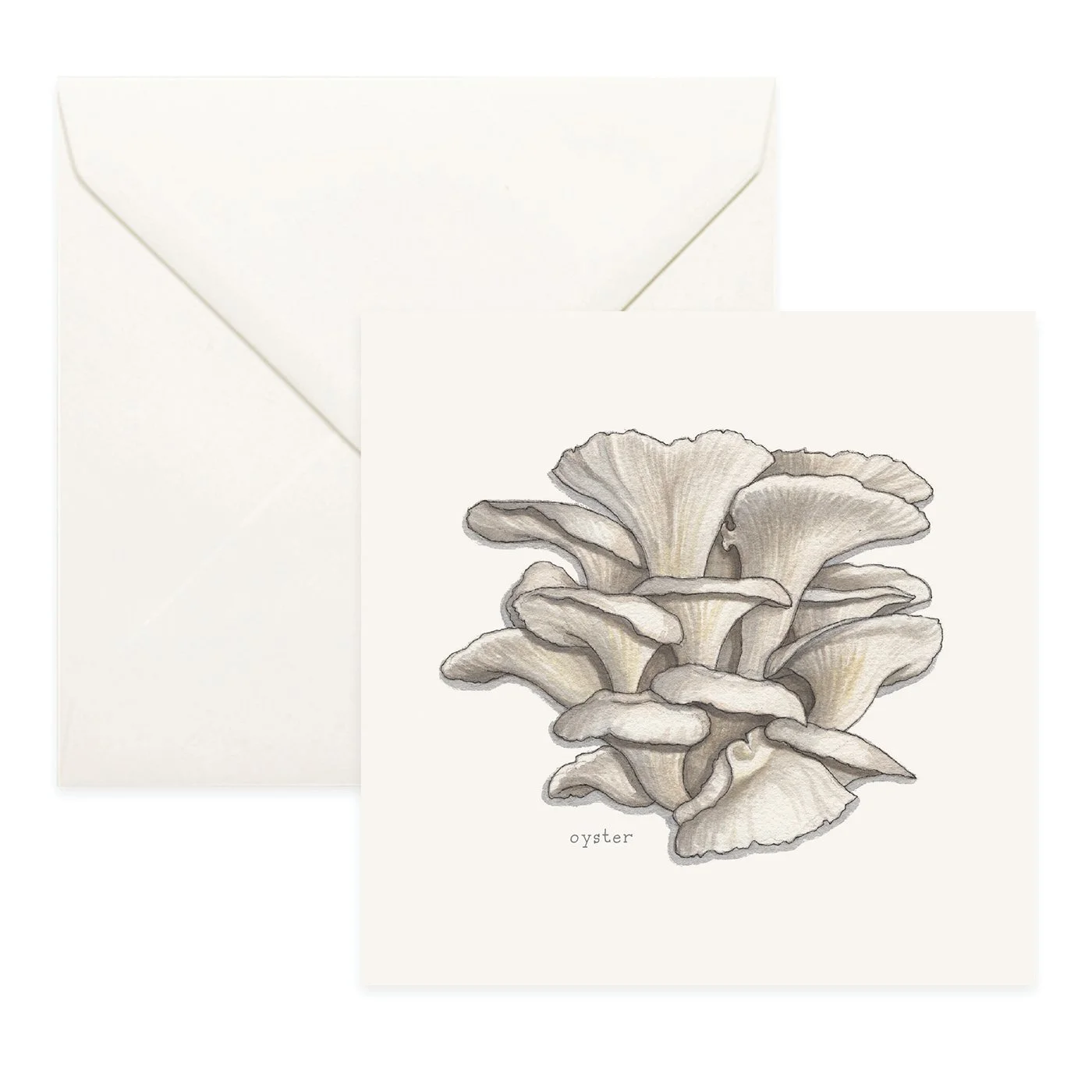 Shop_Cards_Mushrooms15.jpg (Copy)
