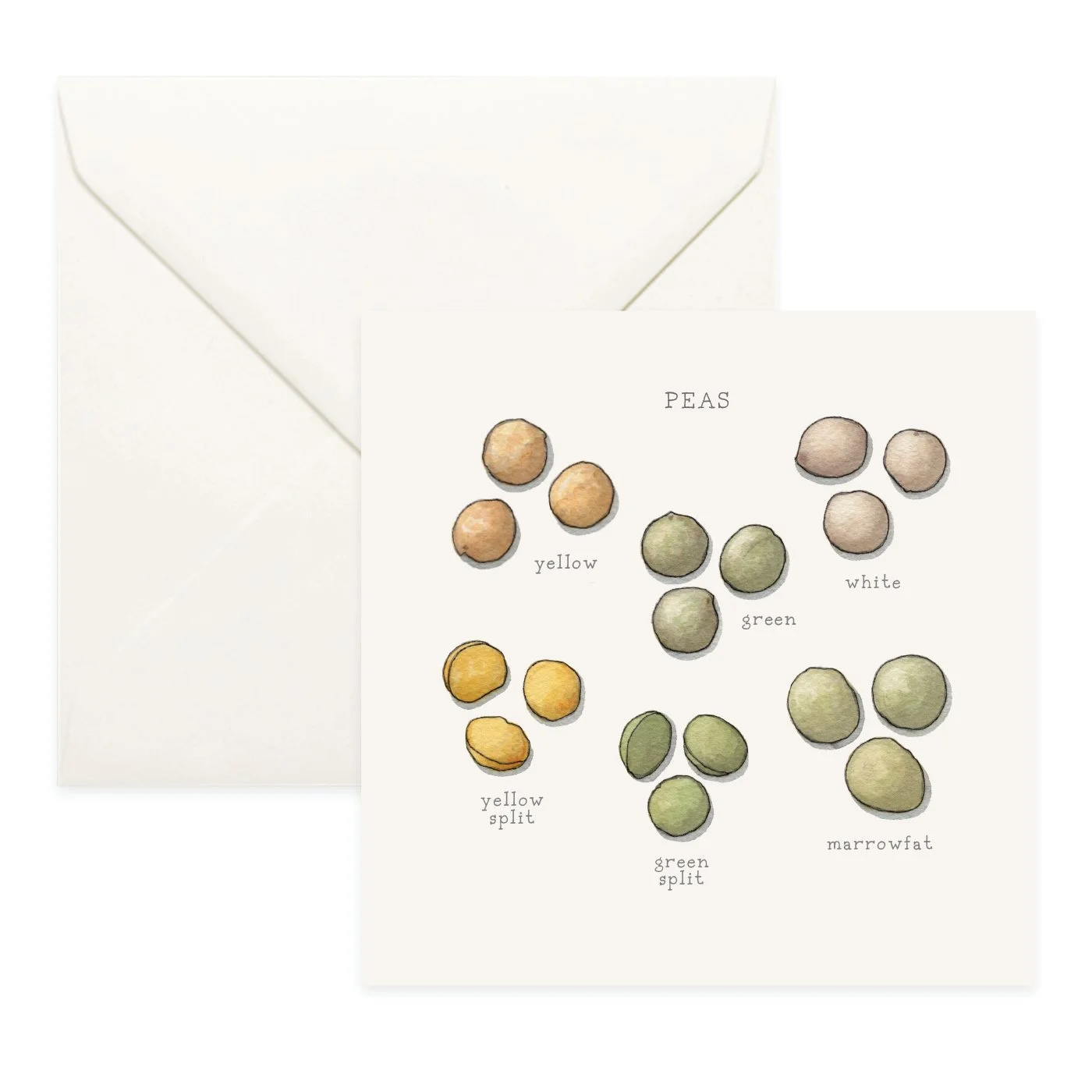 Shop_Cards_Pulses5.jpg