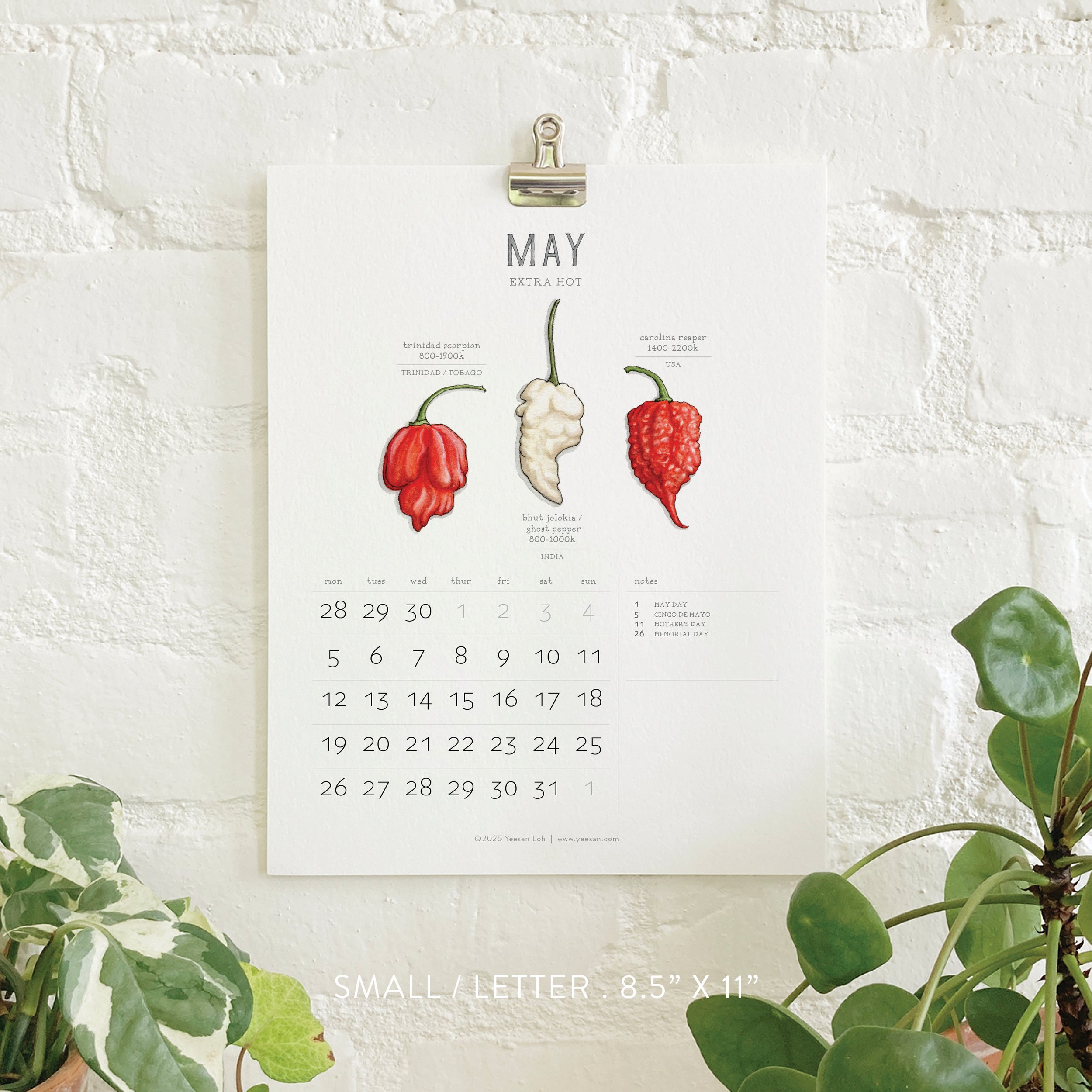 2025_shop_Calendars_Cheesecakes7.jpg