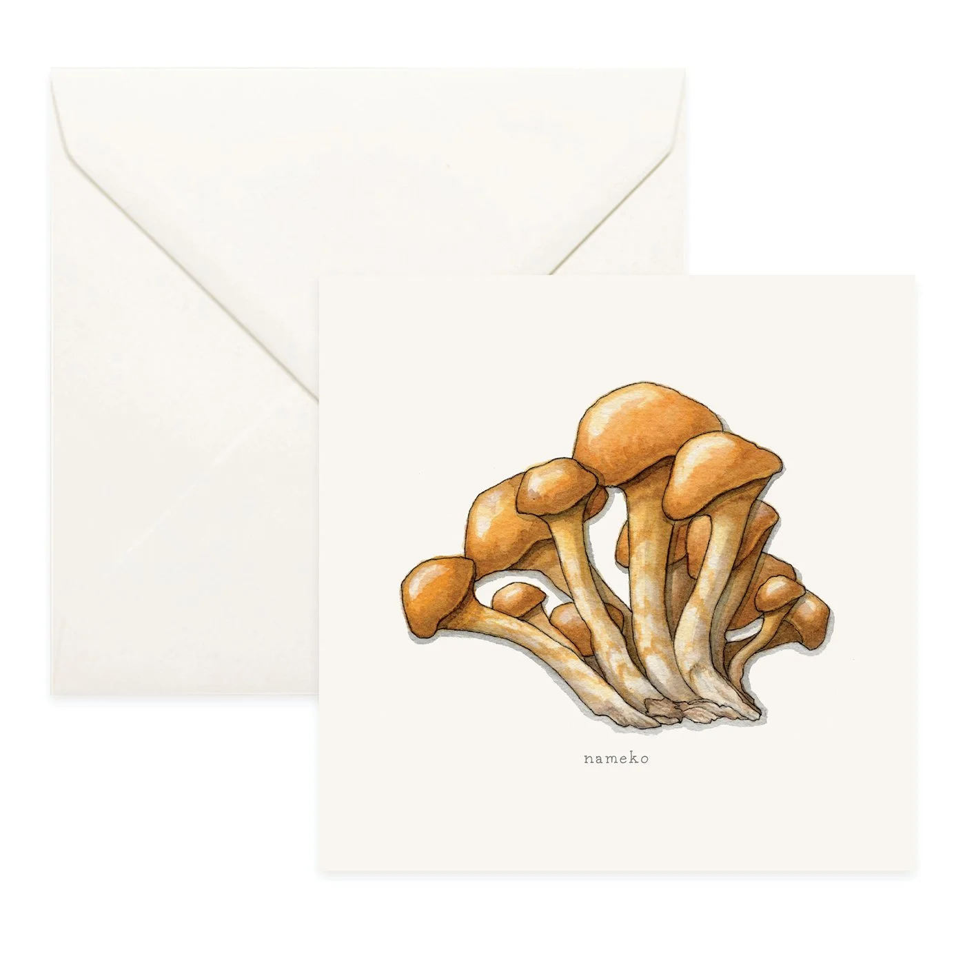 Shop_Cards_Mushrooms19.jpg (Copy)