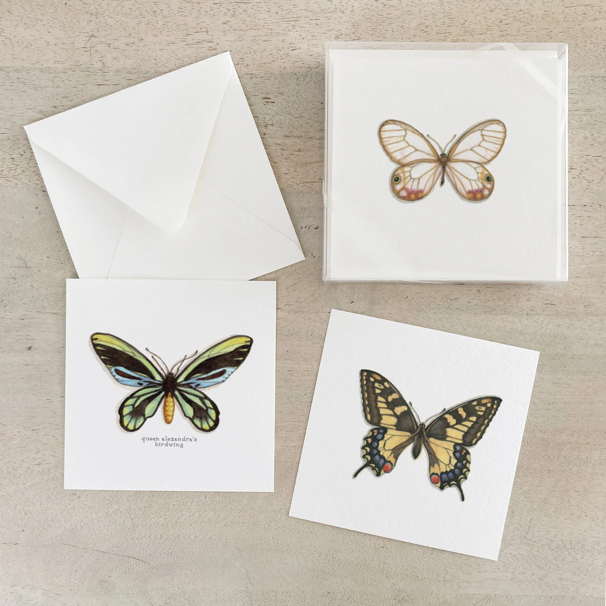 Butterflies & Moths | Box Set Cards