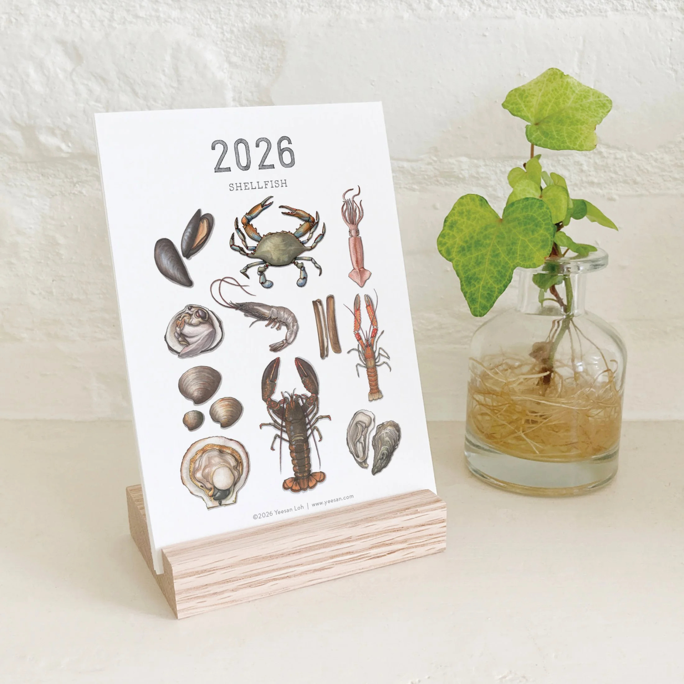 2026_shop_Calendars_Shellfish10.jpg