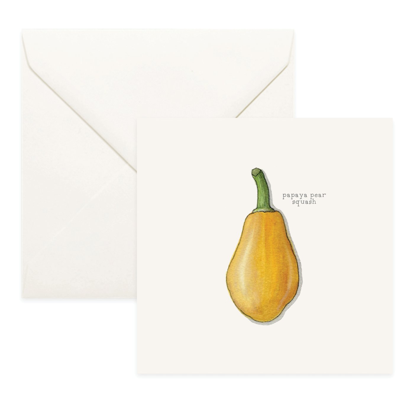 Shop_Cards_Squash_Summer13.jpg