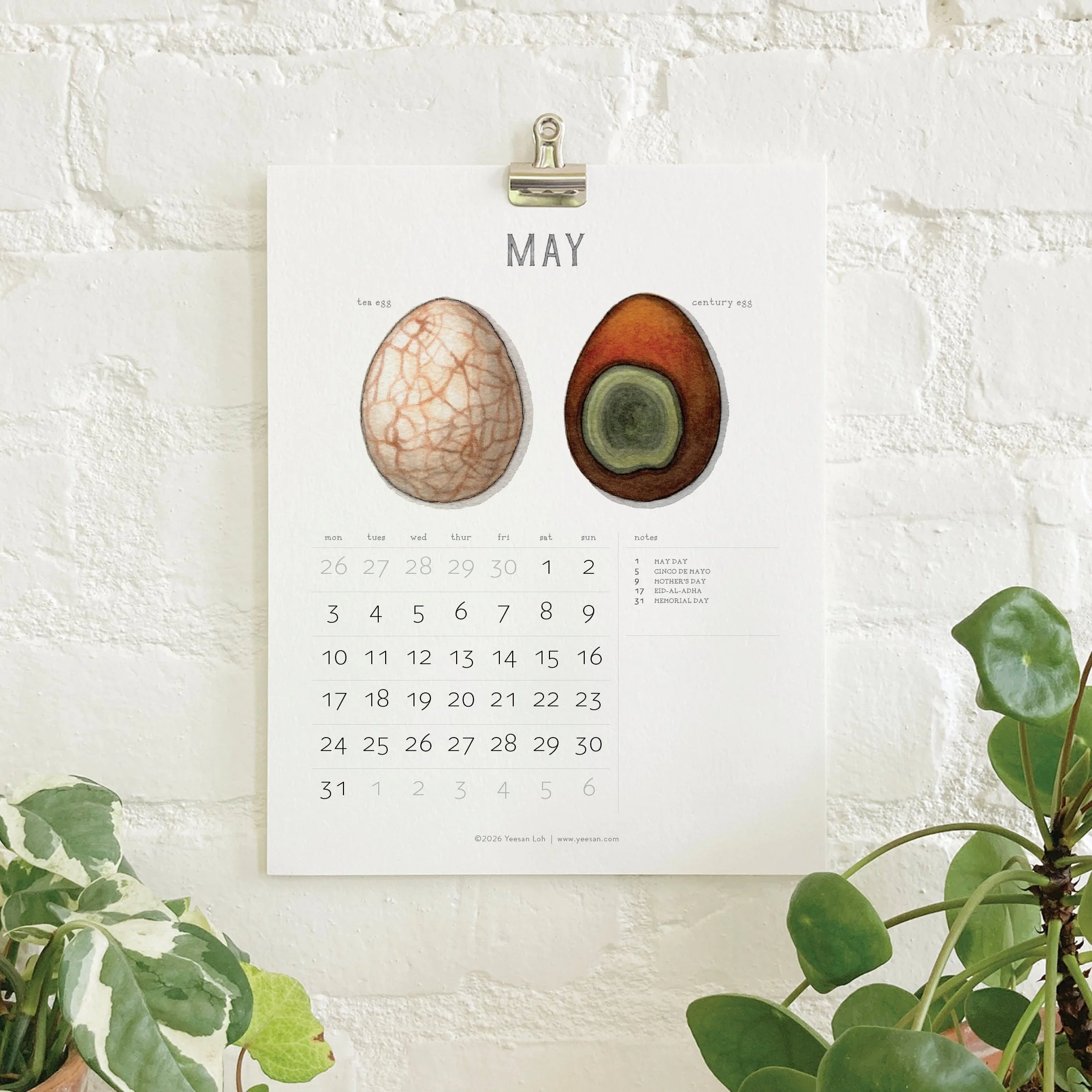 2027_shop_CAL_Eggs7.jpg