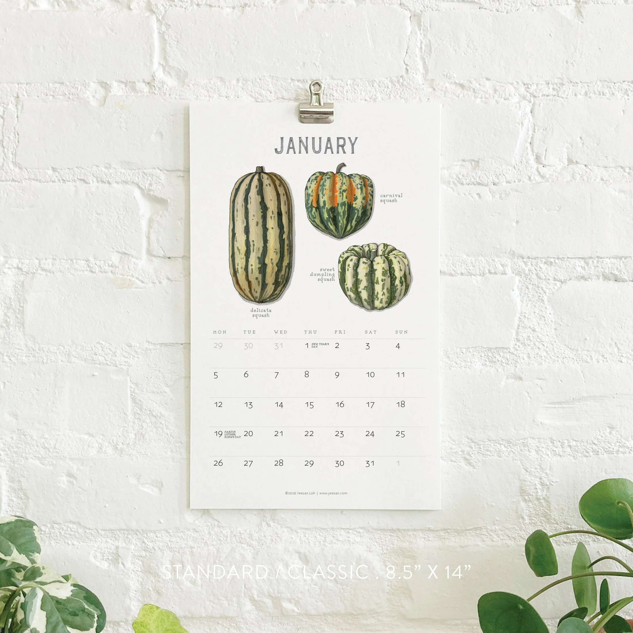2026_shop_Calendars_Squash3.jpg