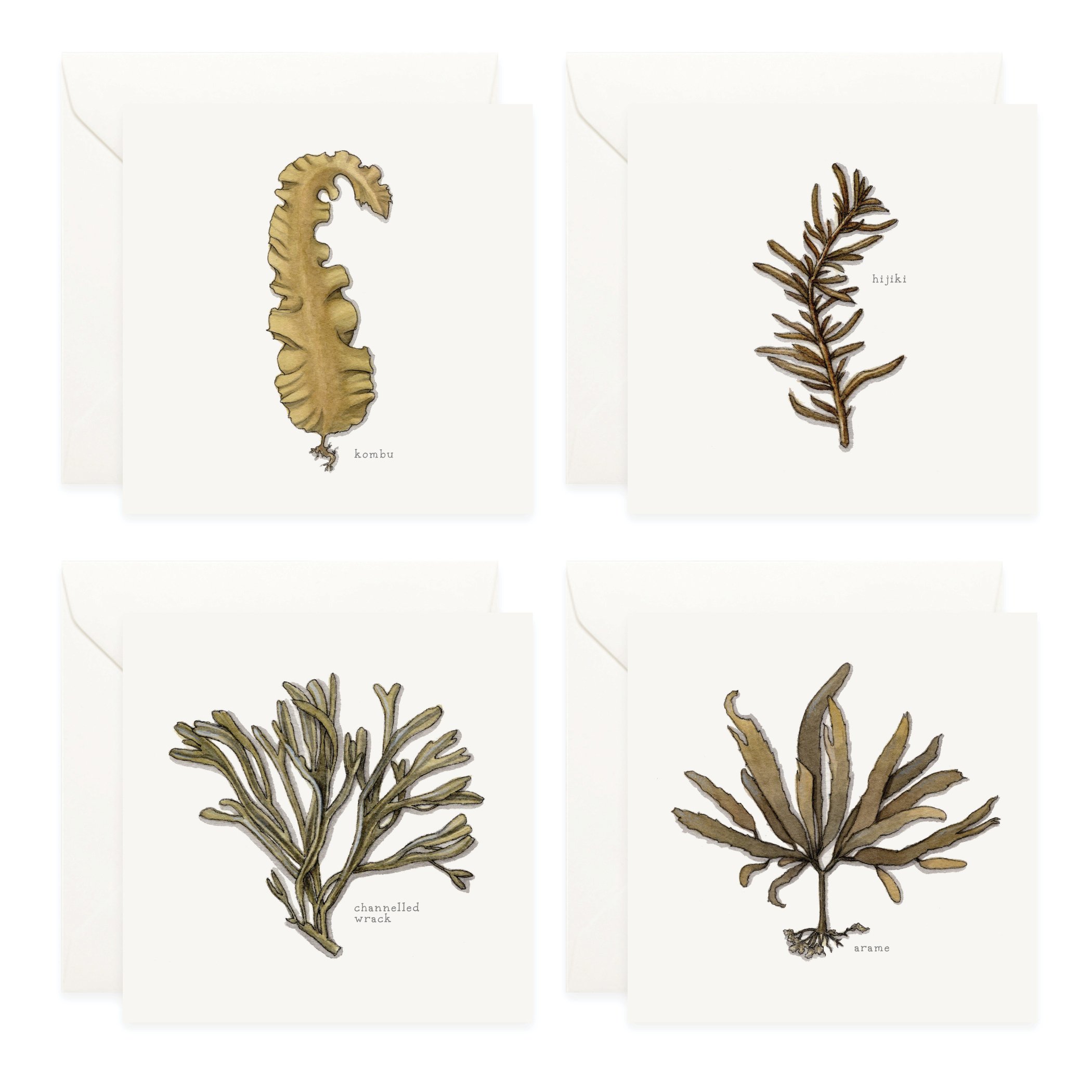 Shop_Box Set_Seaweed3.jpg