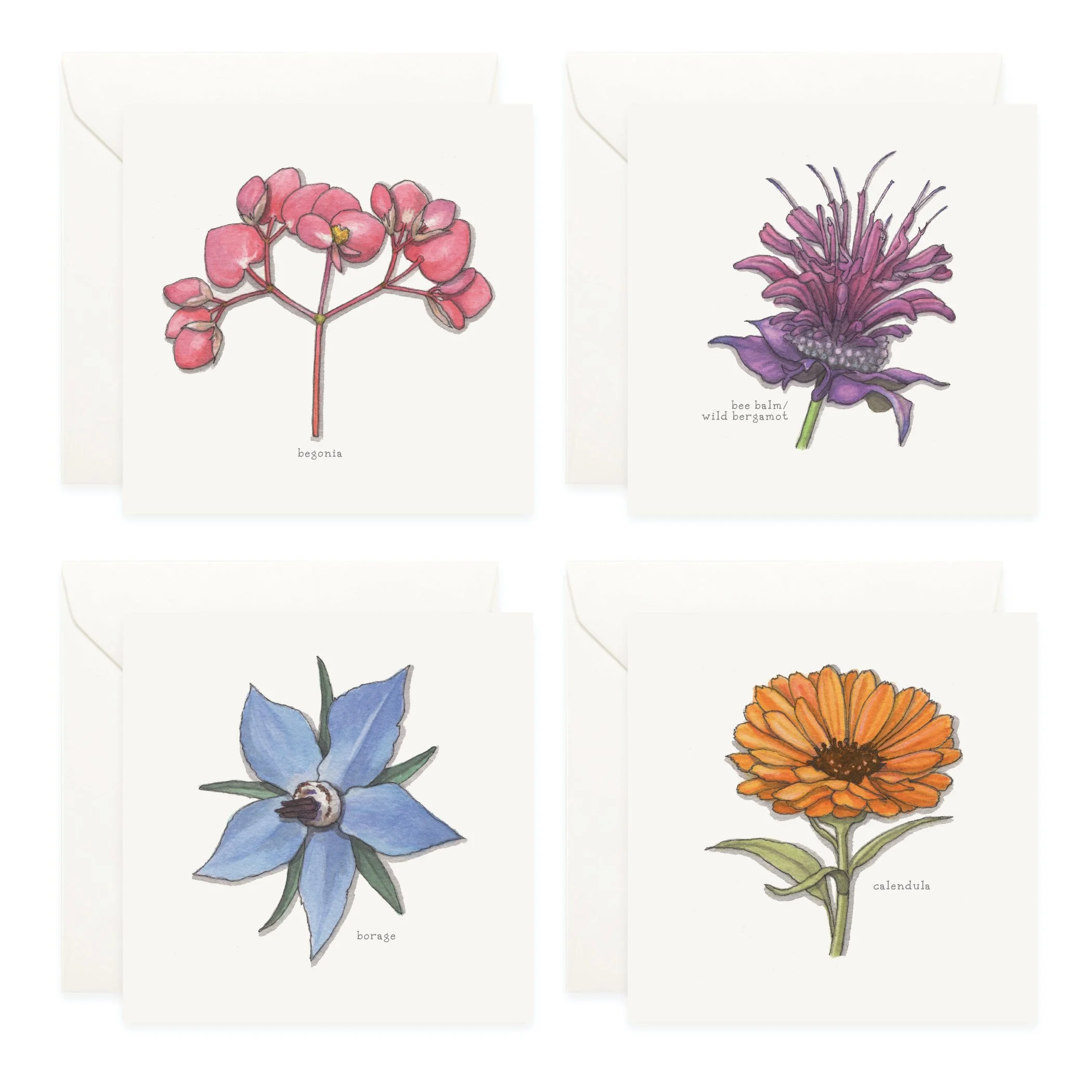 Shop_Box Set_Edible Flowers_013.jpg