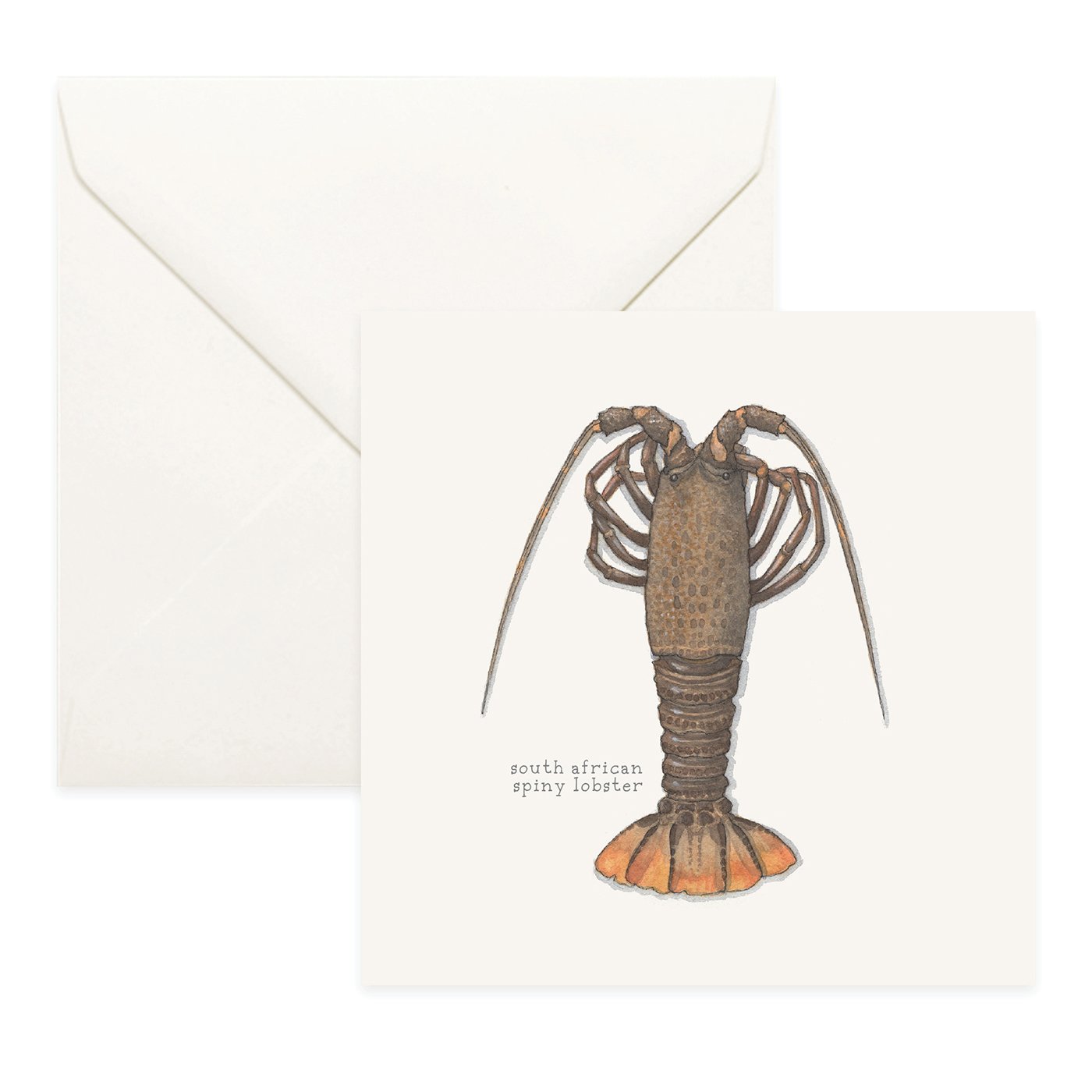 Shop_Cards_Lobsters13.jpg