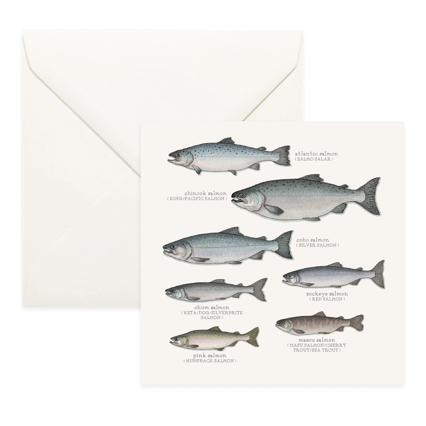 Shop_Cards_Salmon_species3.jpg