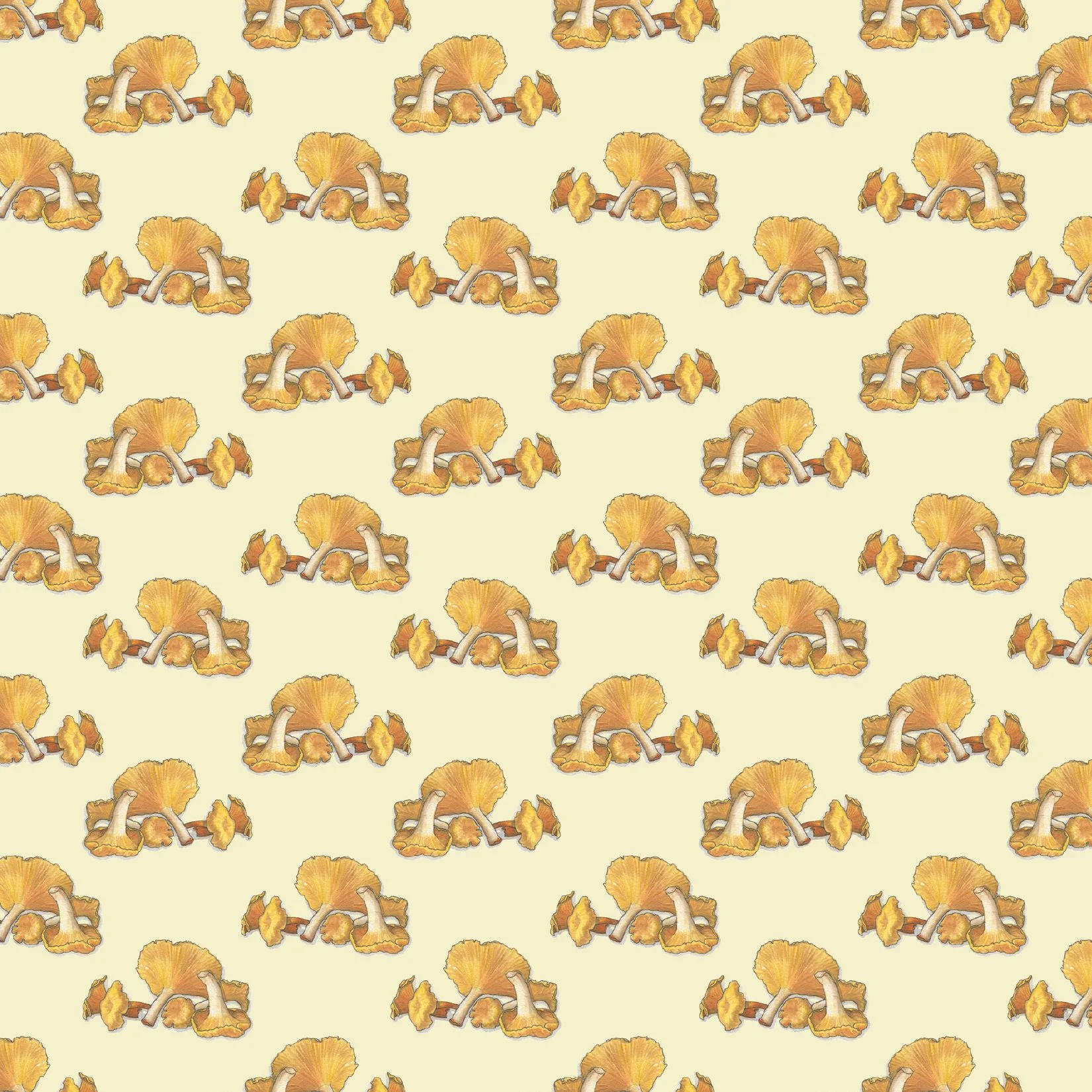 Mushroom_Gift Wrap7.jpg