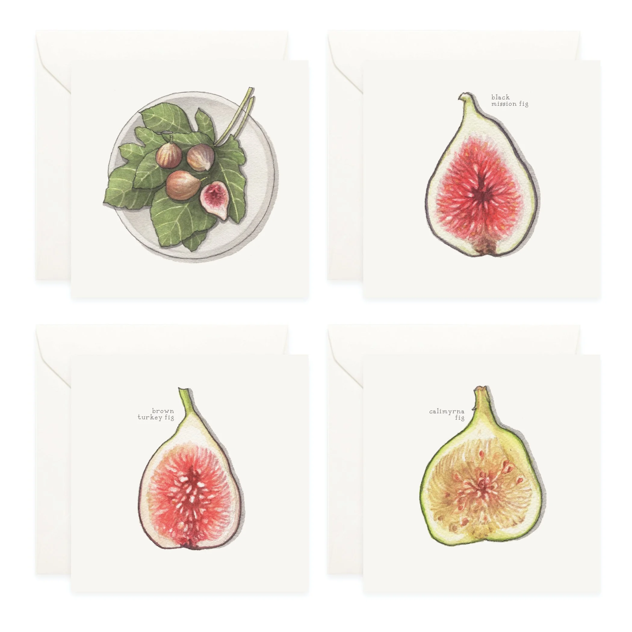 Shop_Box Set_Figs3.jpg