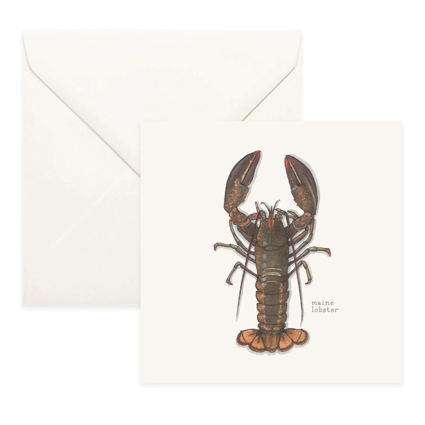Shop_Cards_Lobsters9.jpg