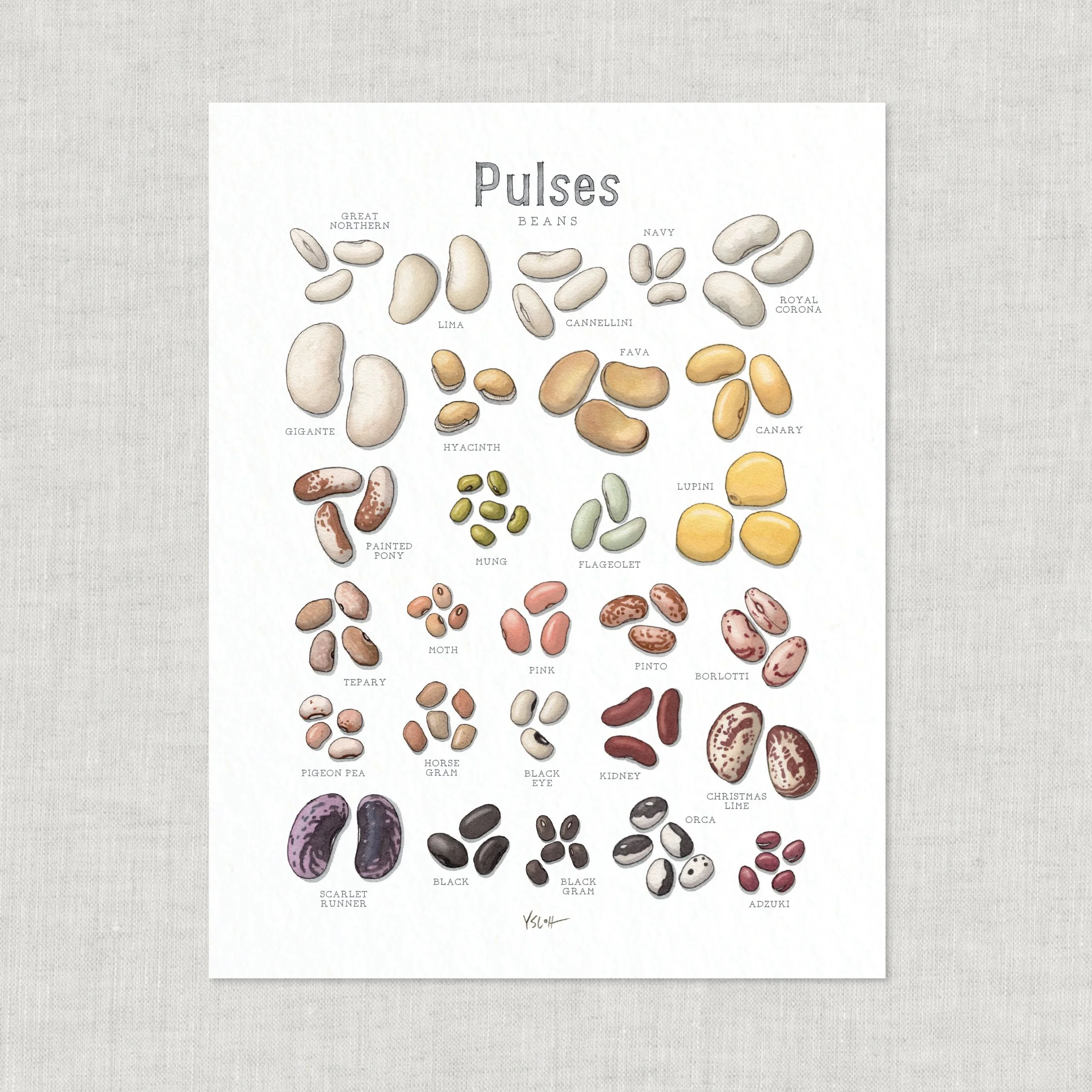 Shop_Prints_8.5x11_Pulses3.jpg