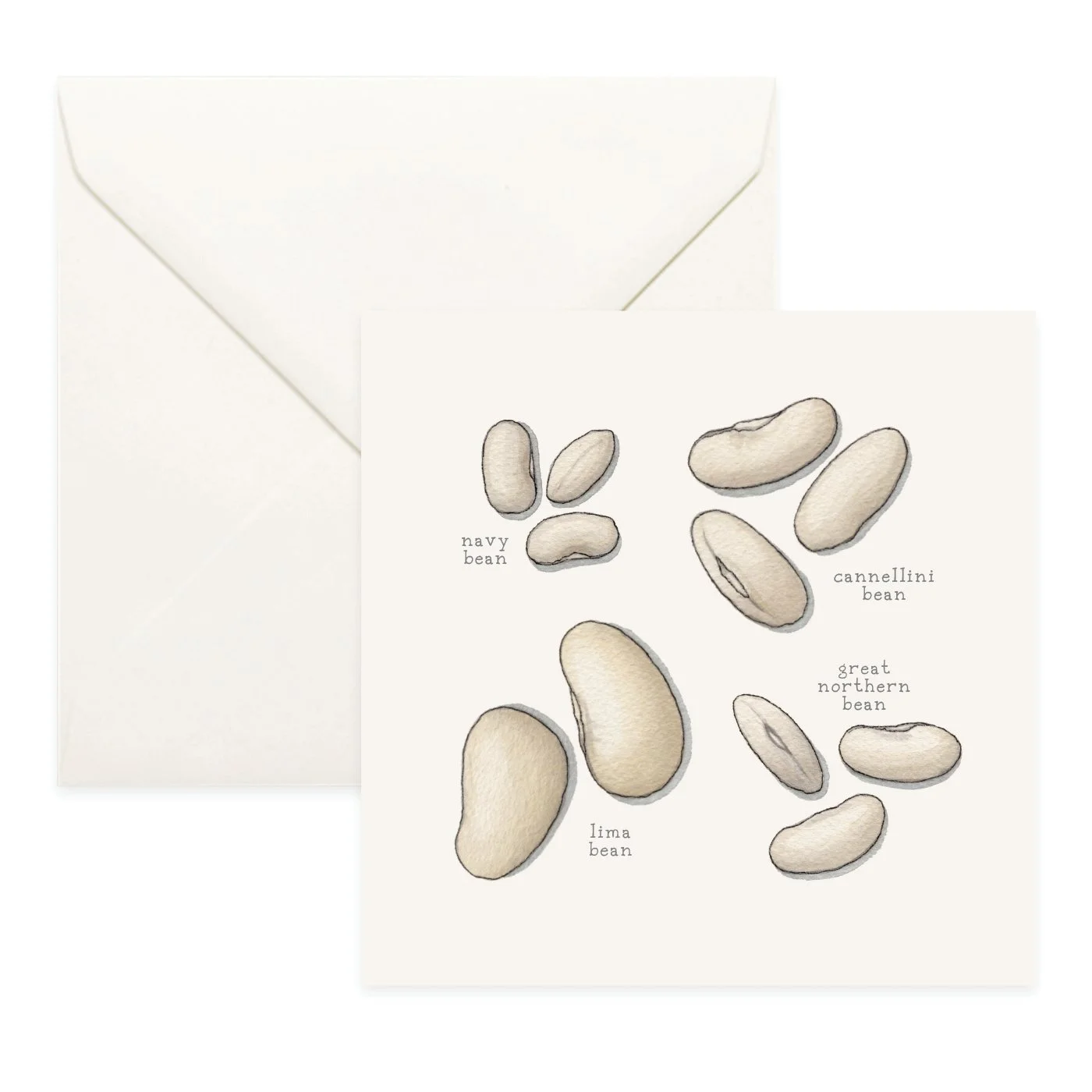 Shop_Cards_Pulses2.jpg