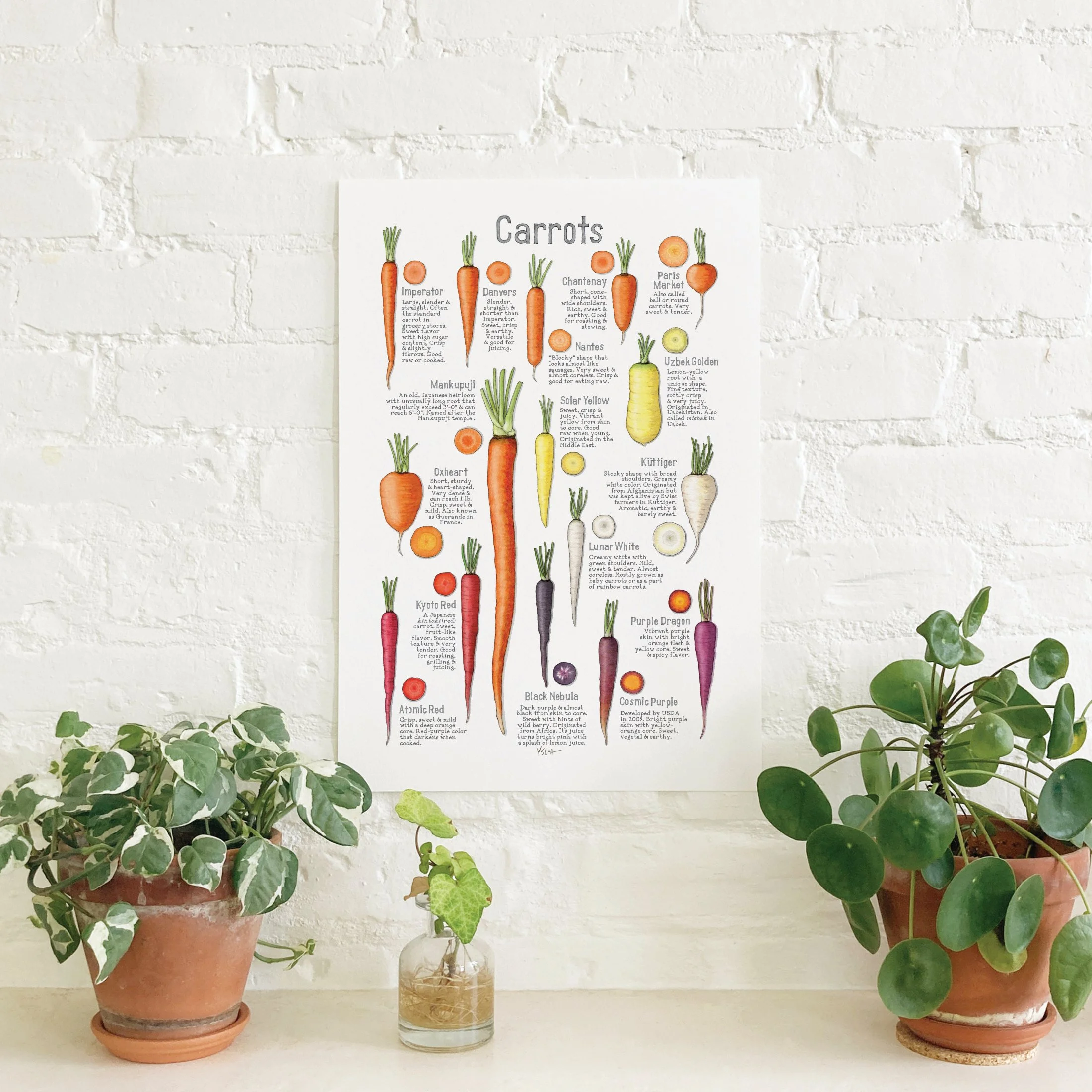 Shop_Poster_13x19_Carrots2.jpg