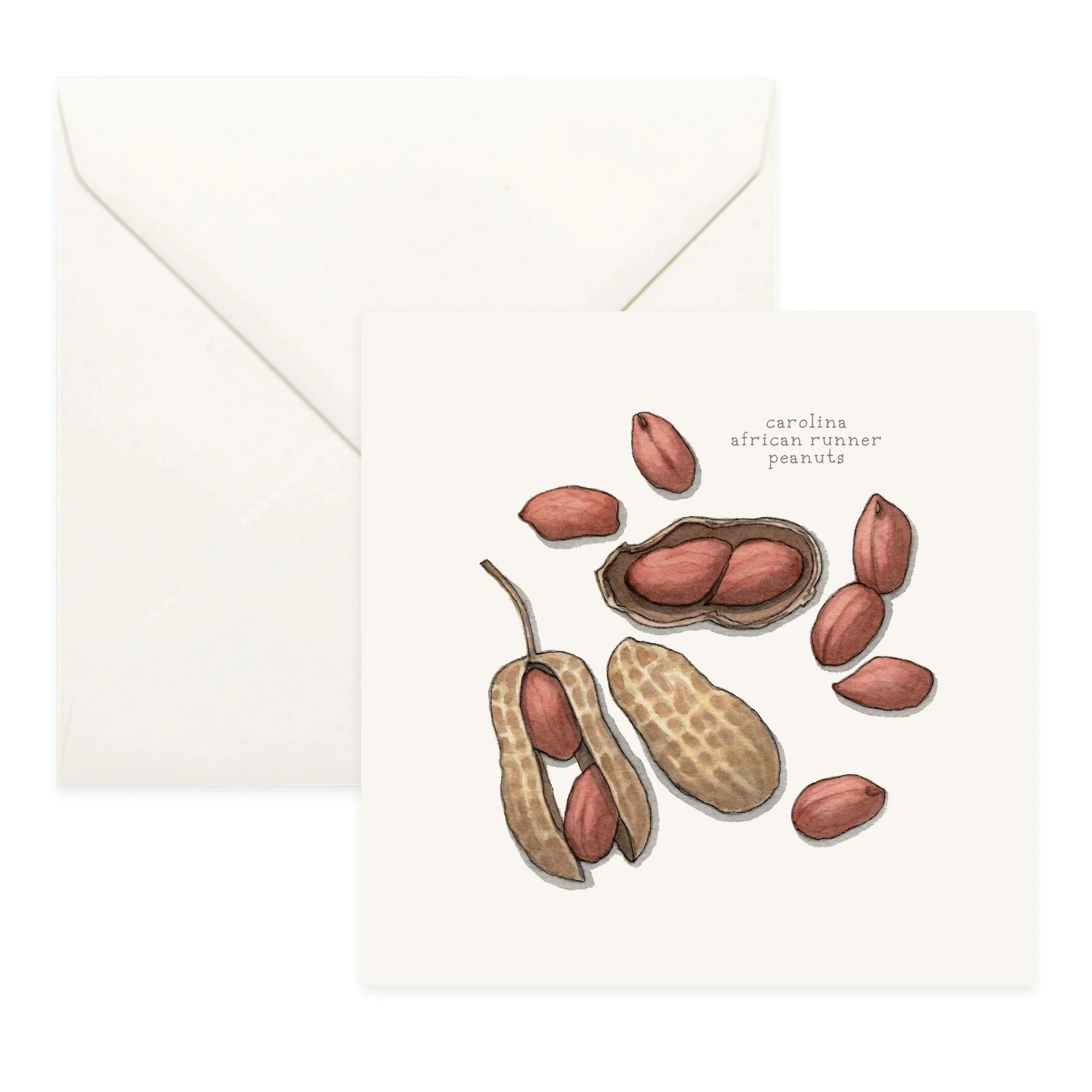 Carolina African Runner Peanut | YSL x Slow Food USA