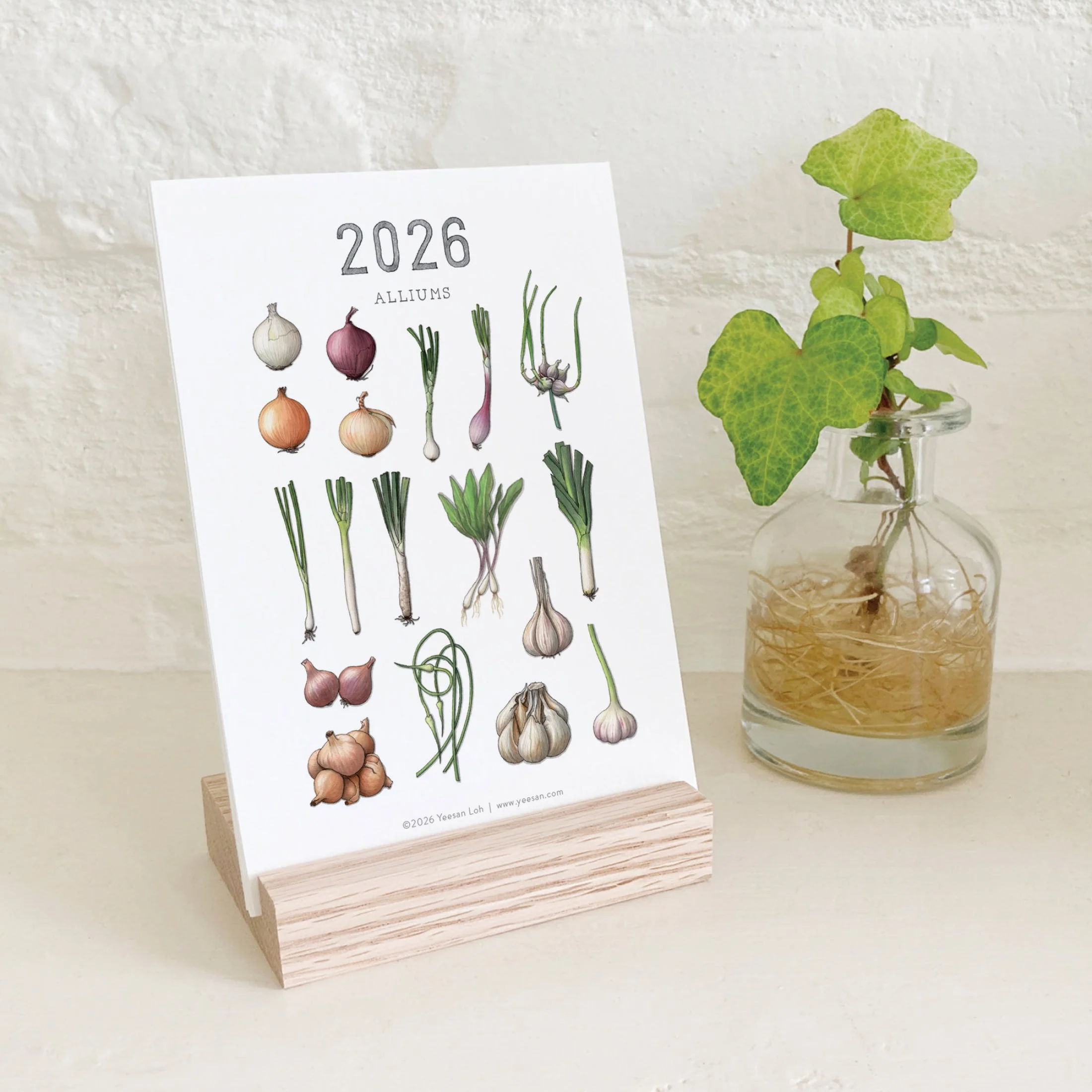 2026_shop_Calendars_Alliums10.jpg