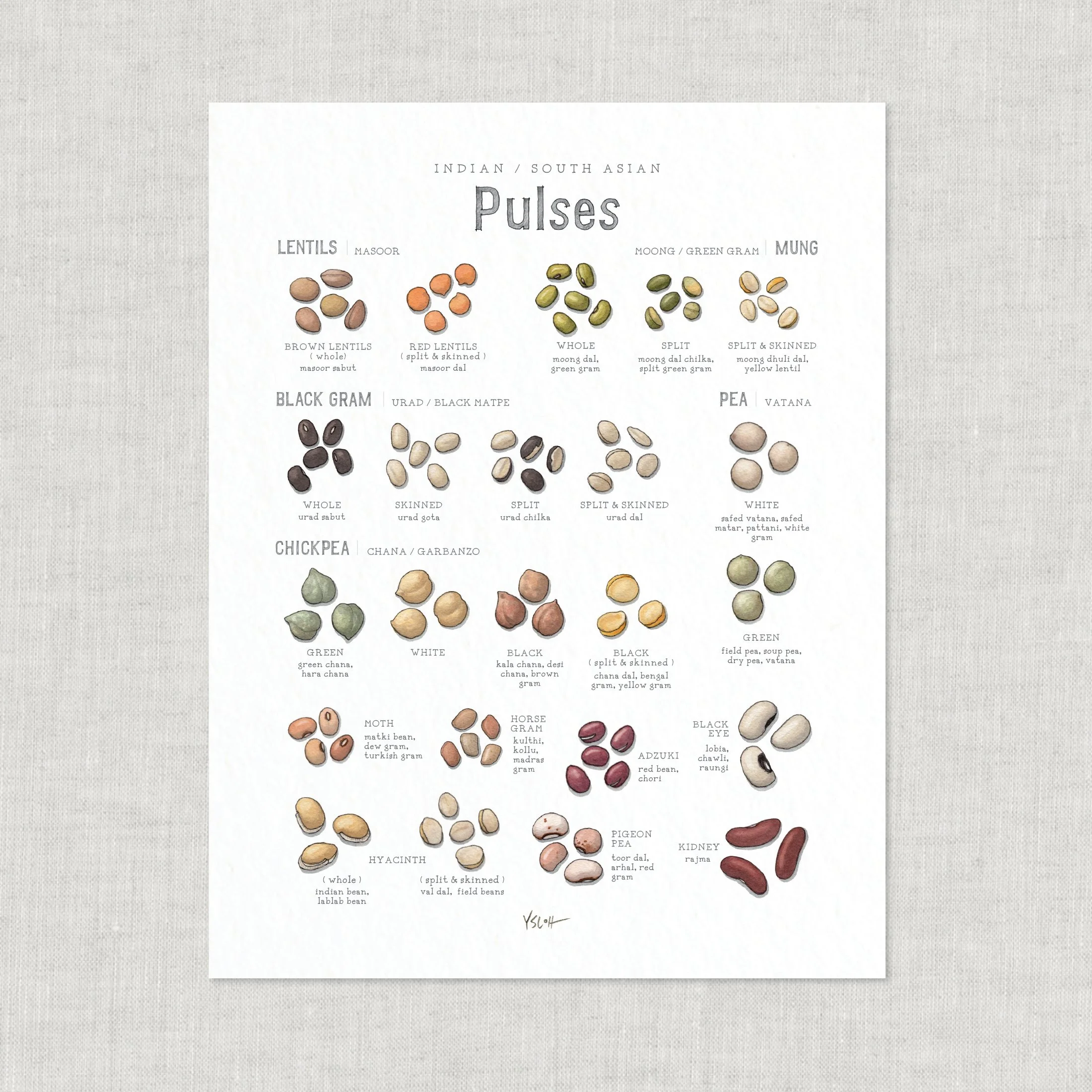 Shop_Prints_8.5x11_Pulses9.jpg